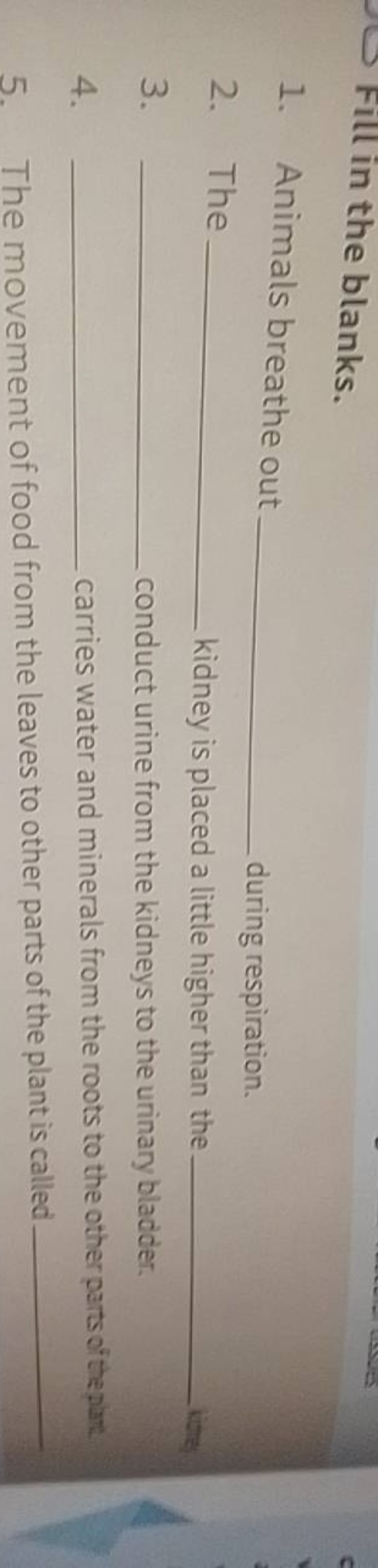 Fill in the blanks.
1. Animals breathe out  during respiration.
2. The