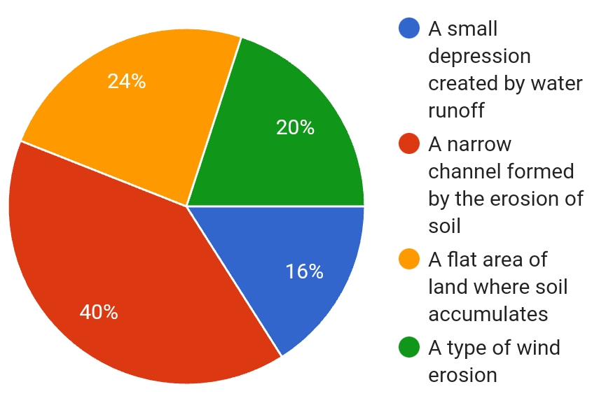 24%
40%
20%
16%
A small
depression
created by water
runoff
A narrow
ch