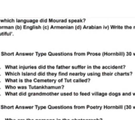 which language did Mourad speak?
rman (b) English (c) Armenian (d) Ara