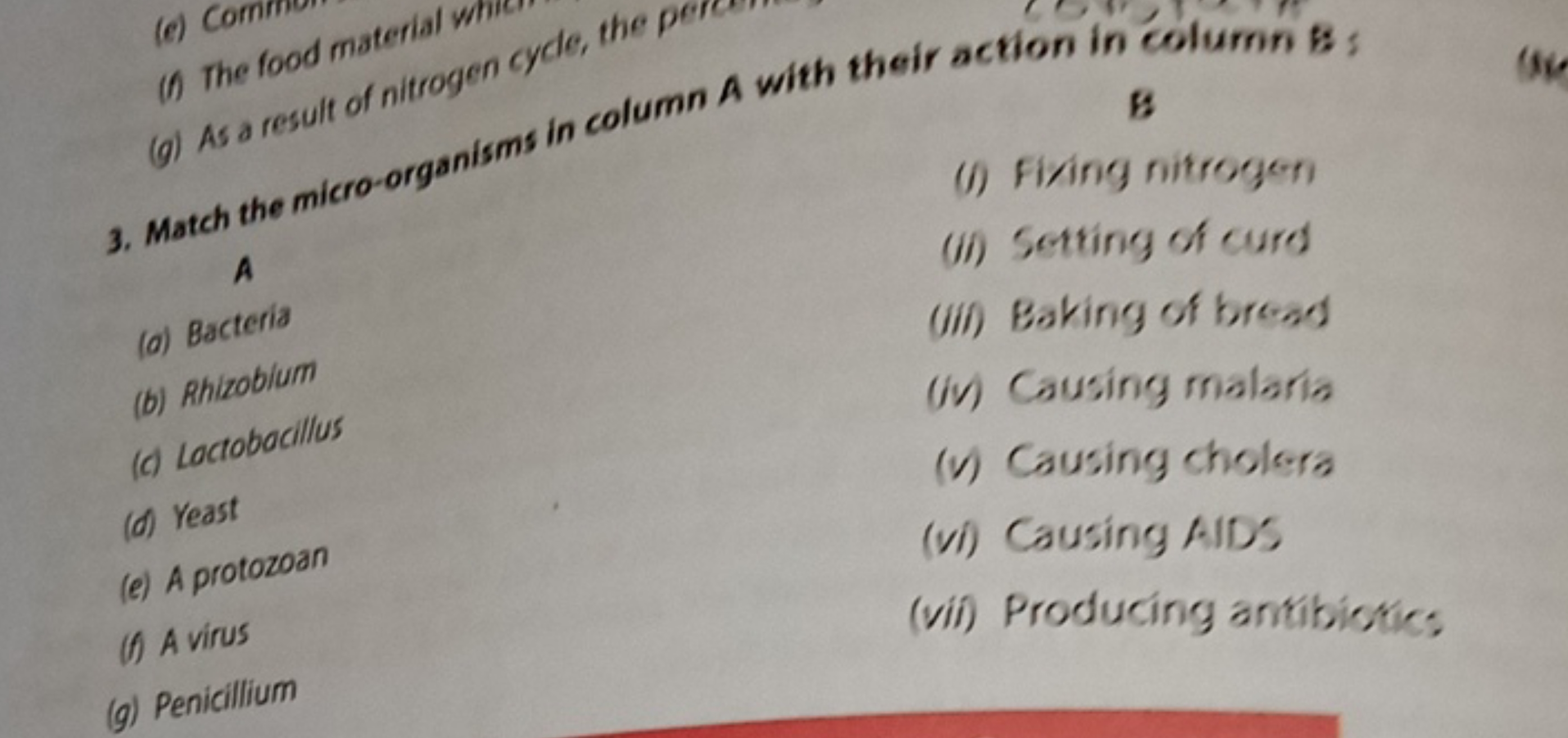 (f) the food material whic
olumn A with their action in column 8 :


A