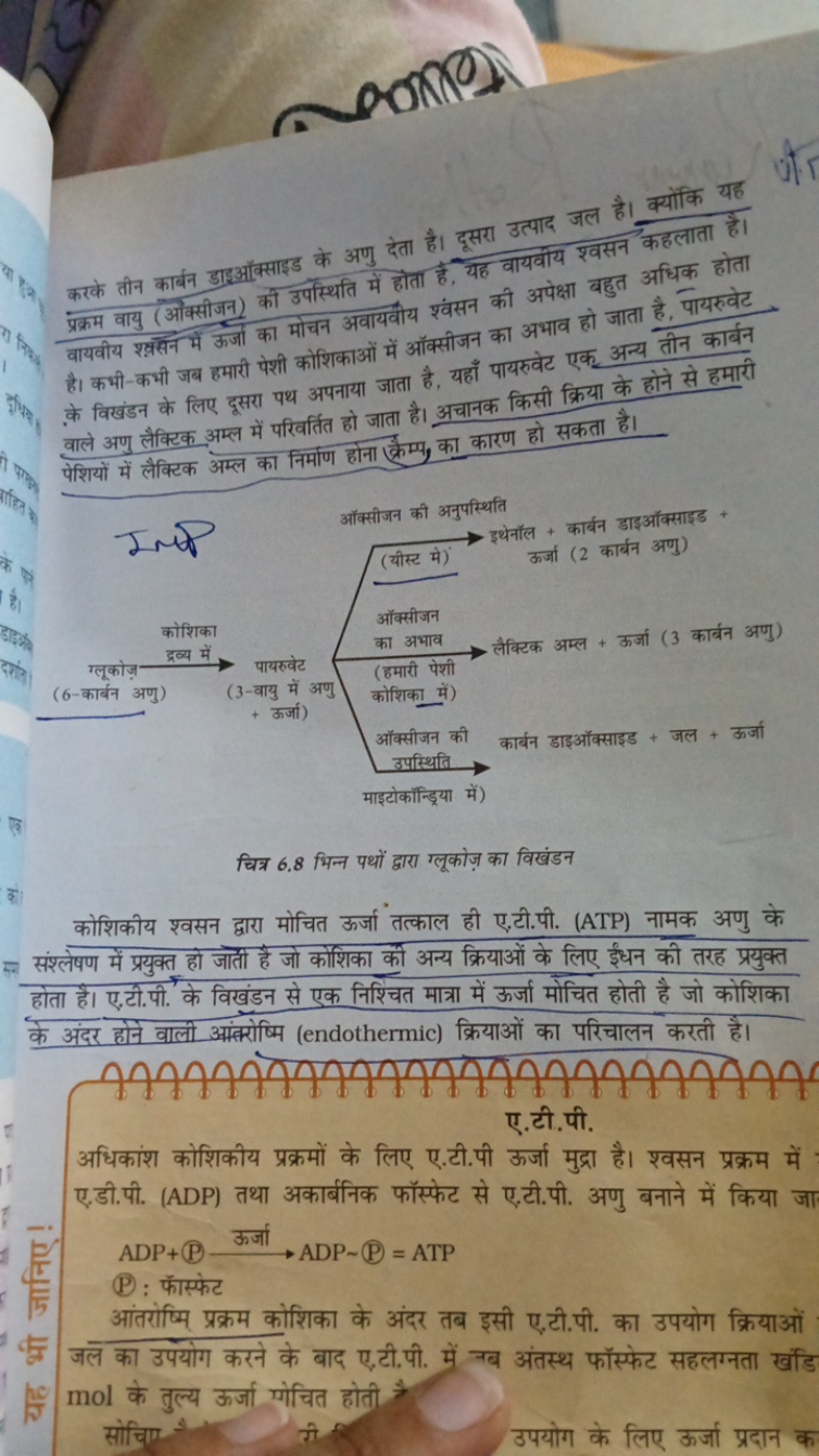 करके तीन कार्बन डाइऑक्साइड के अणु देता है।
प्रक्रम वायु (अक्सीजन) की उ