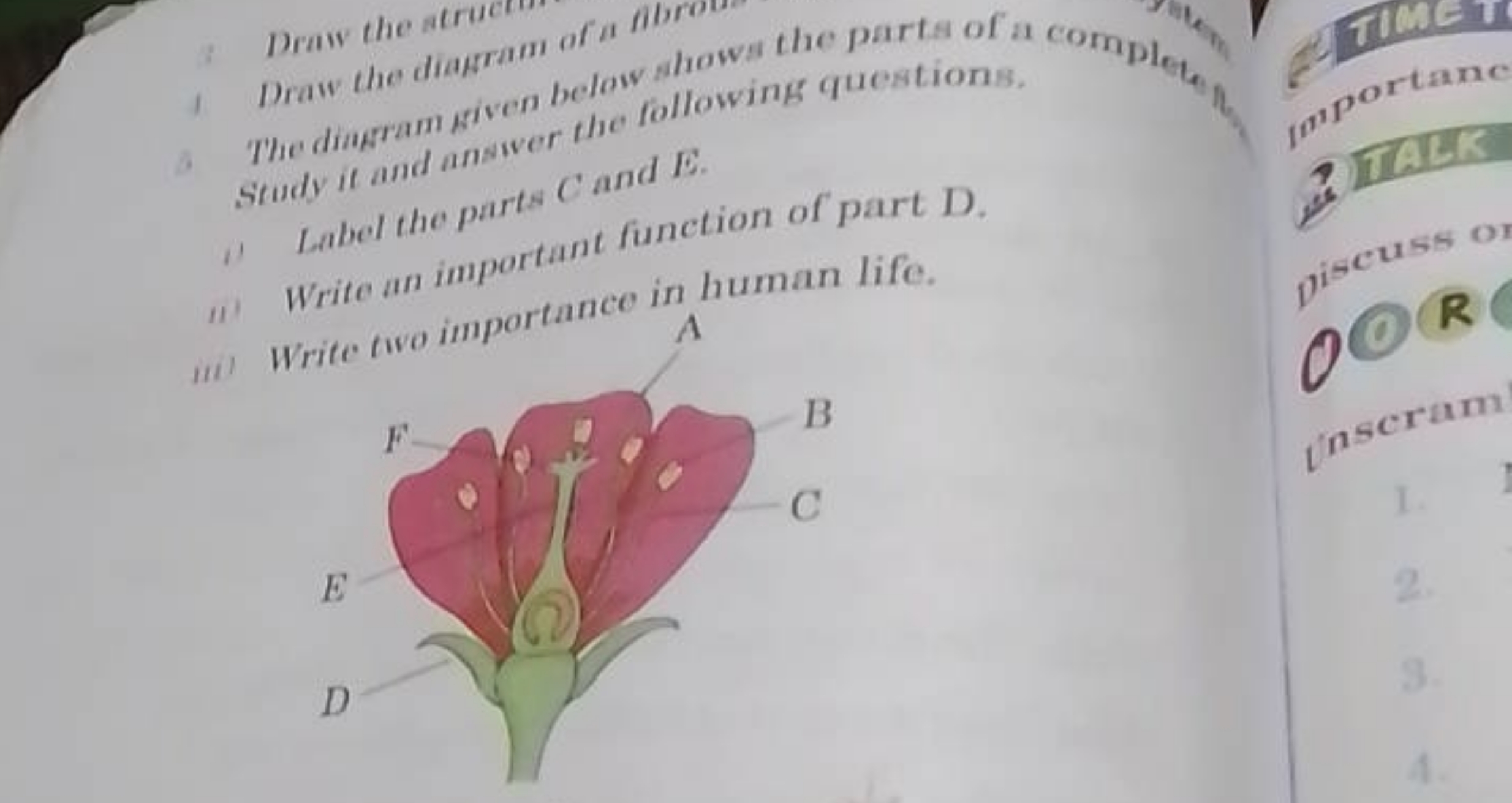 Draw the atruca of a fibrom
The dimpram given below shows the parts of