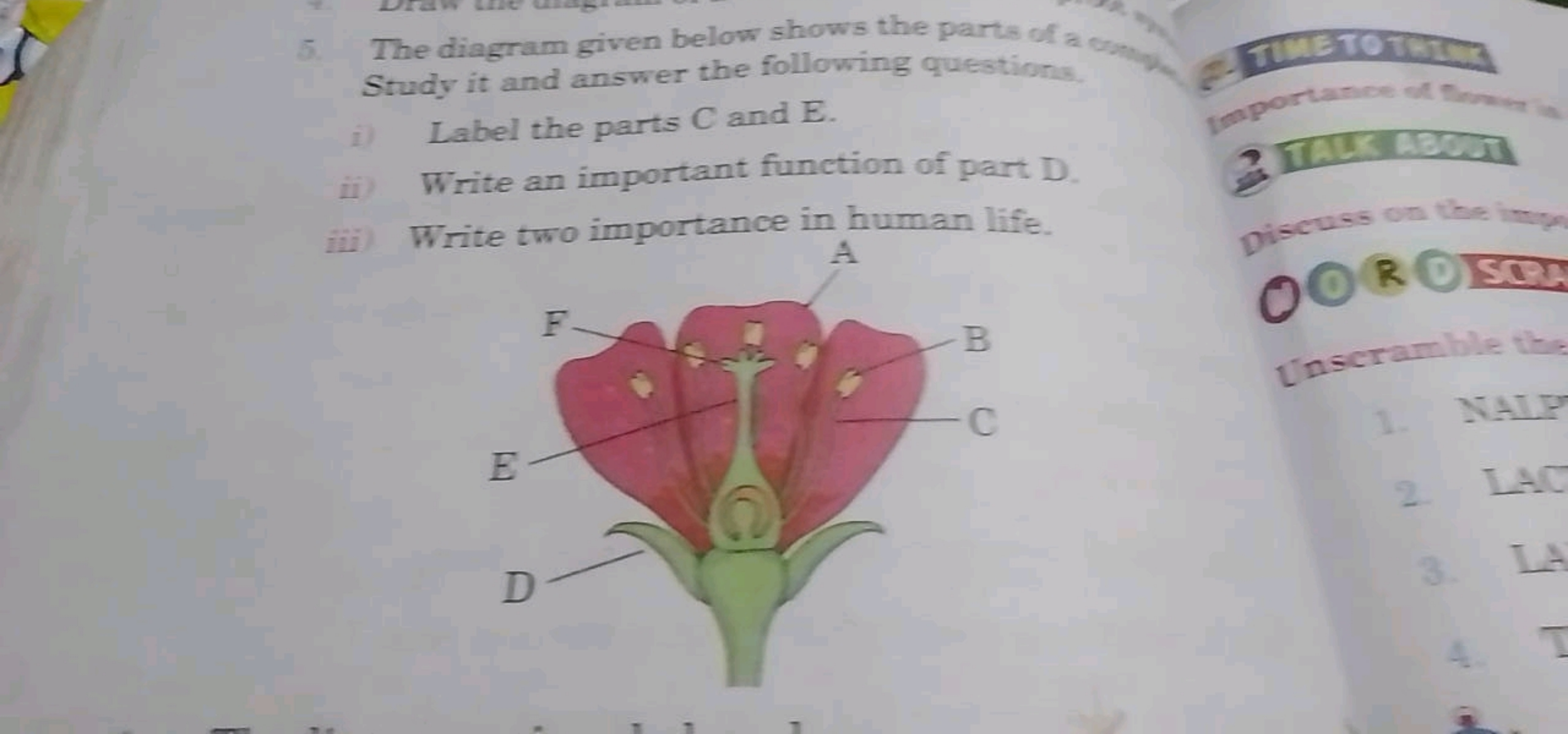 5. The diagram given below shows the parts of a
Study it and answer th