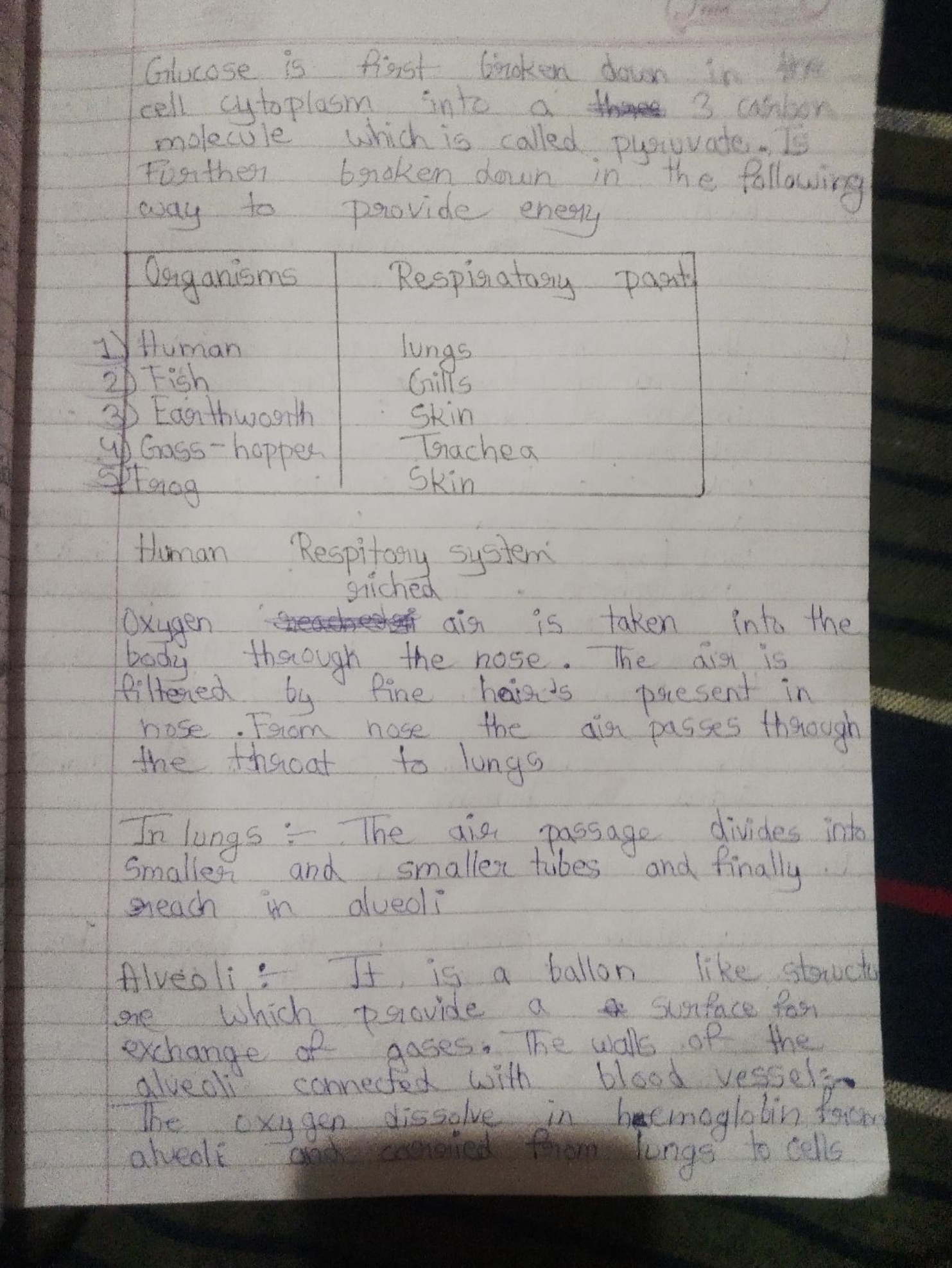 Glucose is first Groken down cell cytoplasm into a this 3 carbon molec