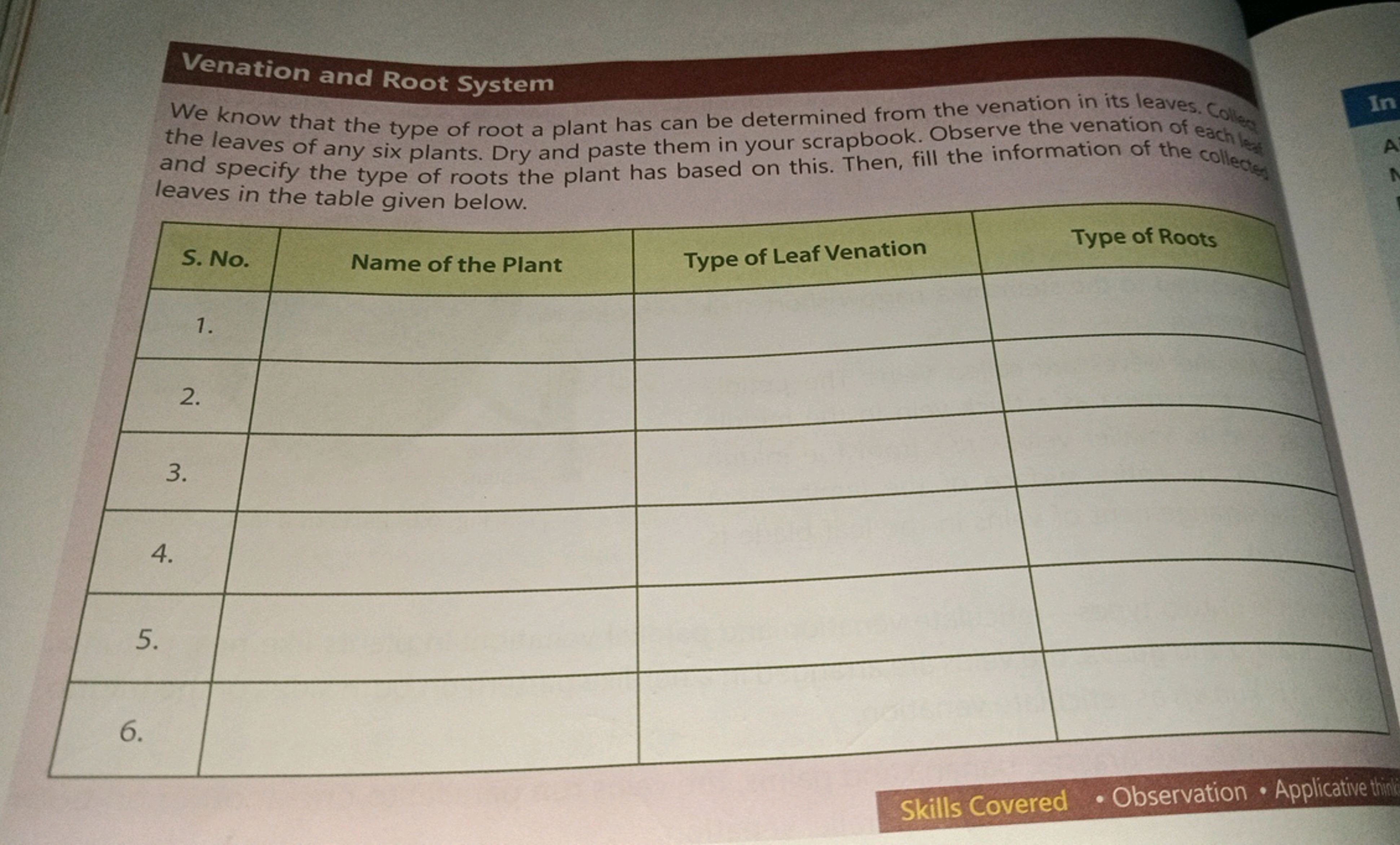 Venation and Root System
We know that the type of root a plant has can