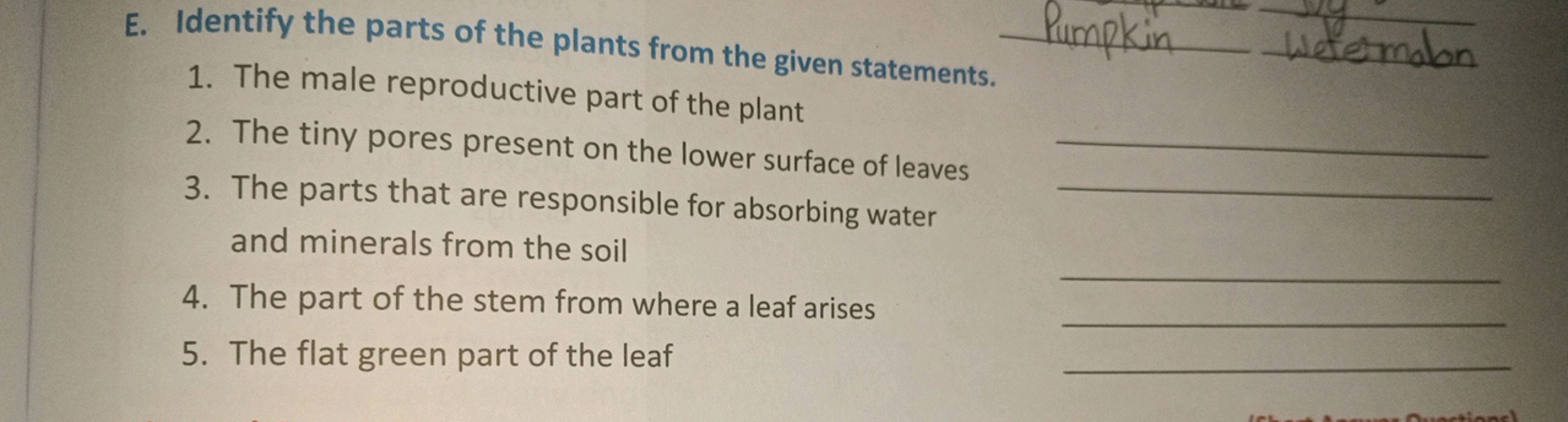 E. Identify the parts of the plants from the given statements.
1. The 