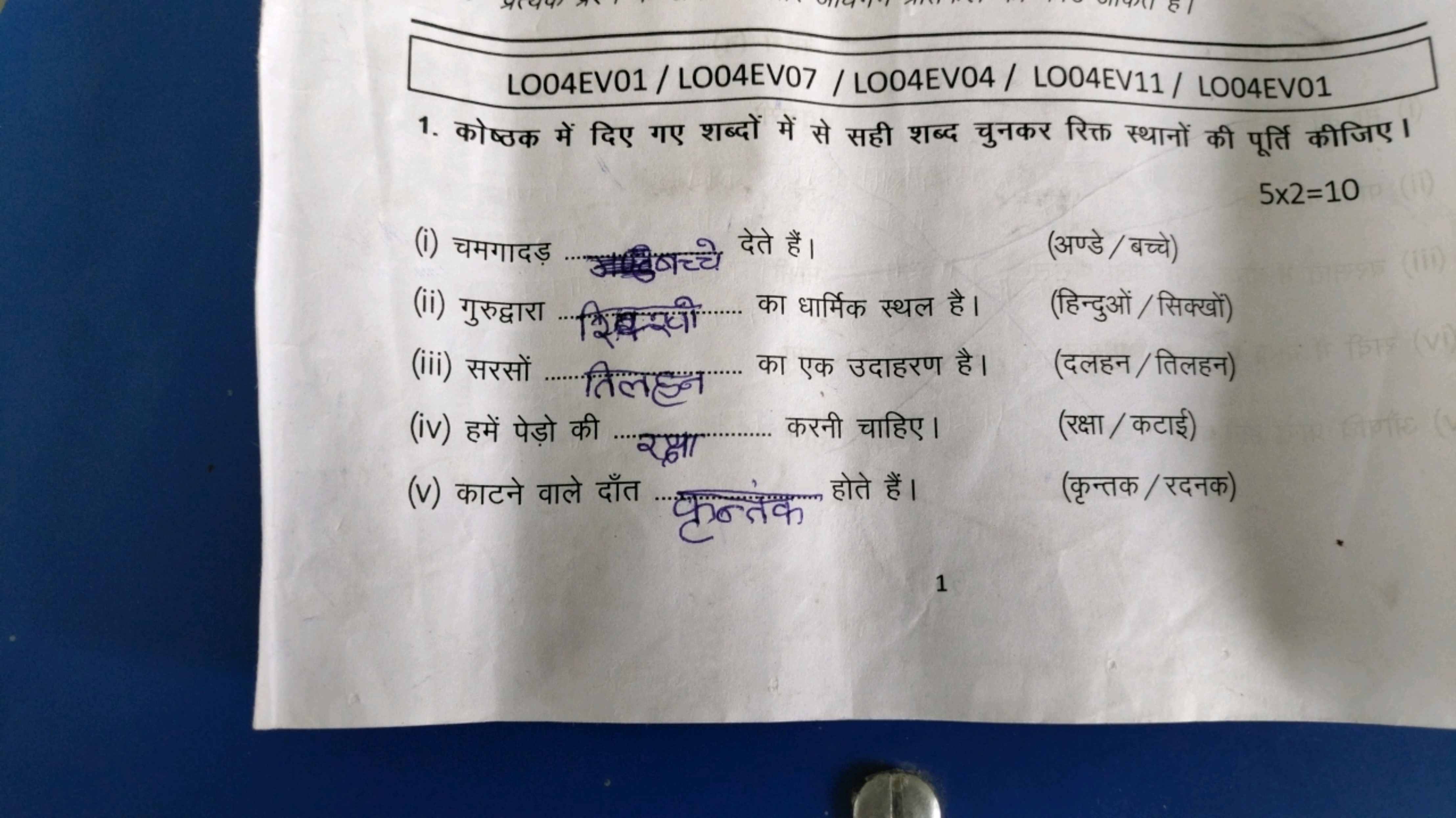 LO04EV01 / L004EV07 / L004EV04 / LO04EV11 / L004EV01
1. कोष्ठक में दिए