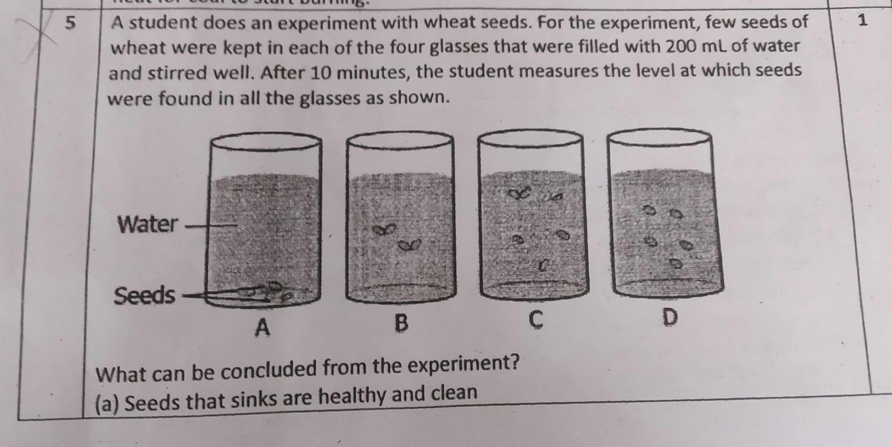 5 A student does an experiment with wheat seeds. For the experiment, f