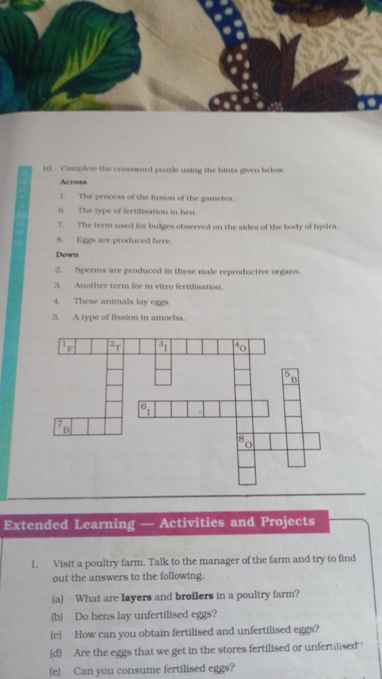 10. Complete the crossword puale using the hints given below.

Across
