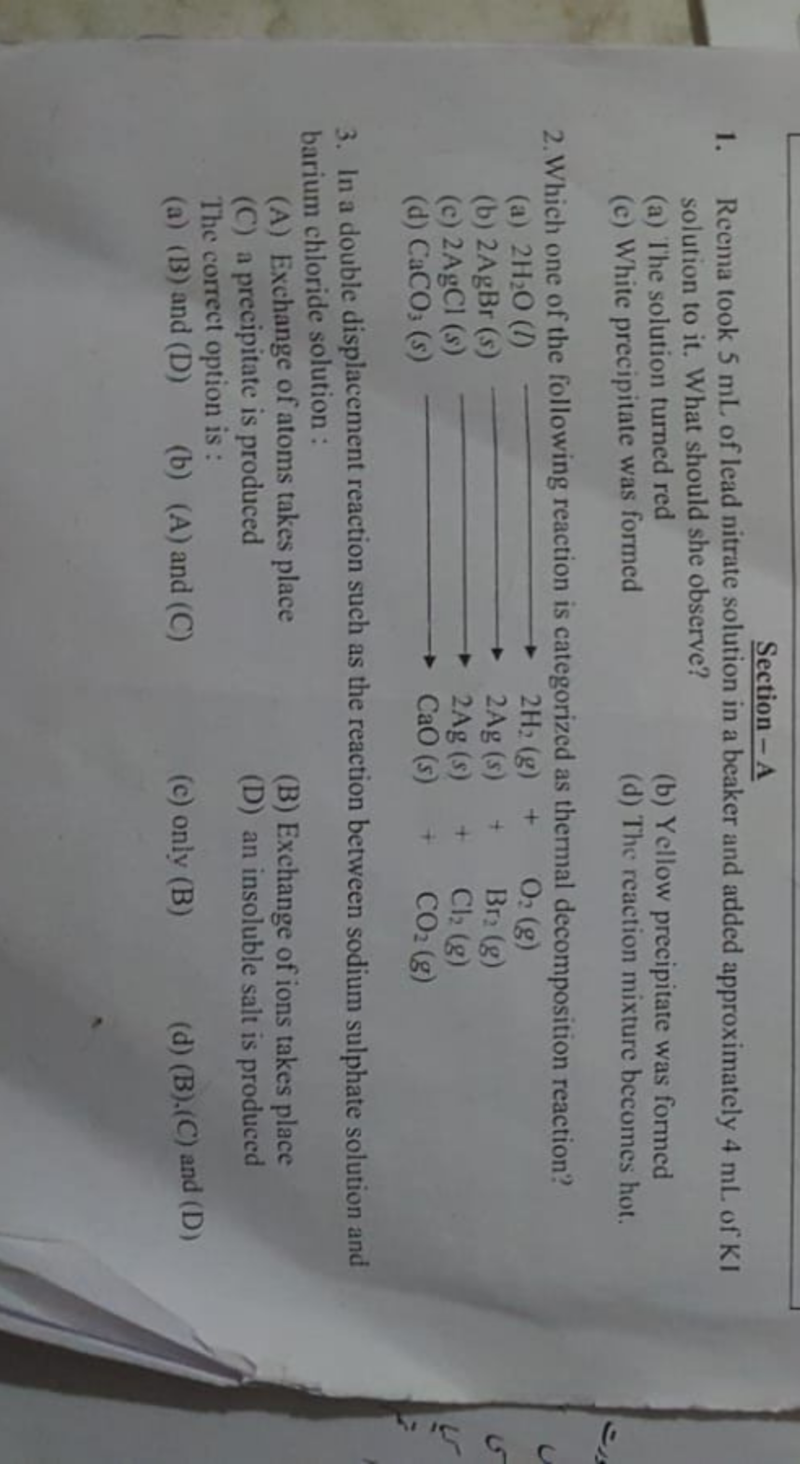 Section-A
1. Reema took 5 mL of lead nitrate solution in a beaker and 