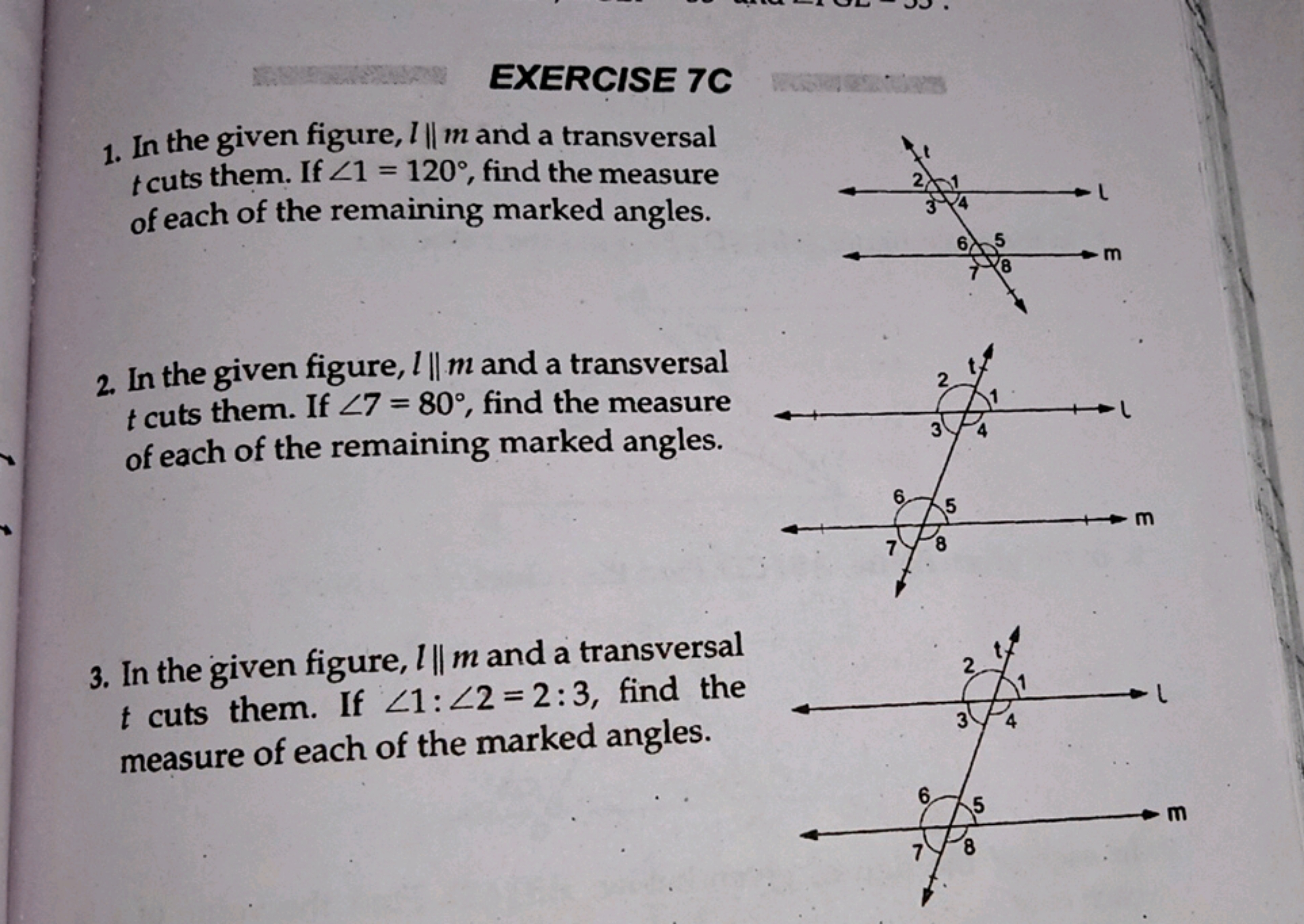 EXERCISE 7C
1. In the given figure, l∥m and a transversal t cuts them.