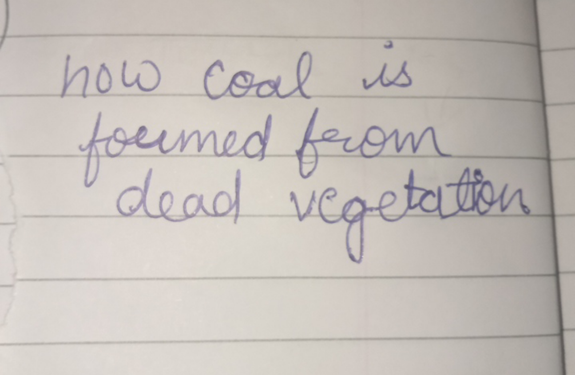 how coal is formed from dead vegetation