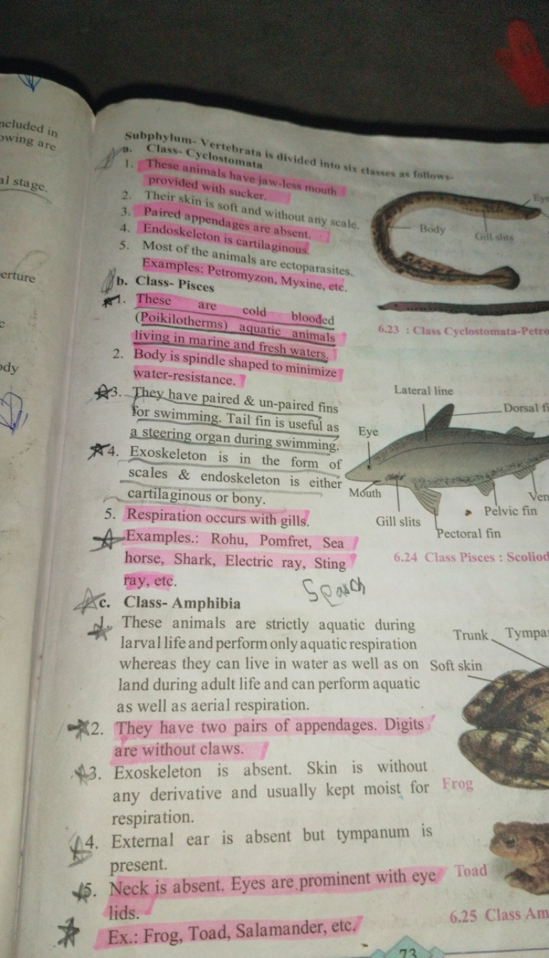 Subphylum- Vertebrate is divided into six classes as follows-
a. Class