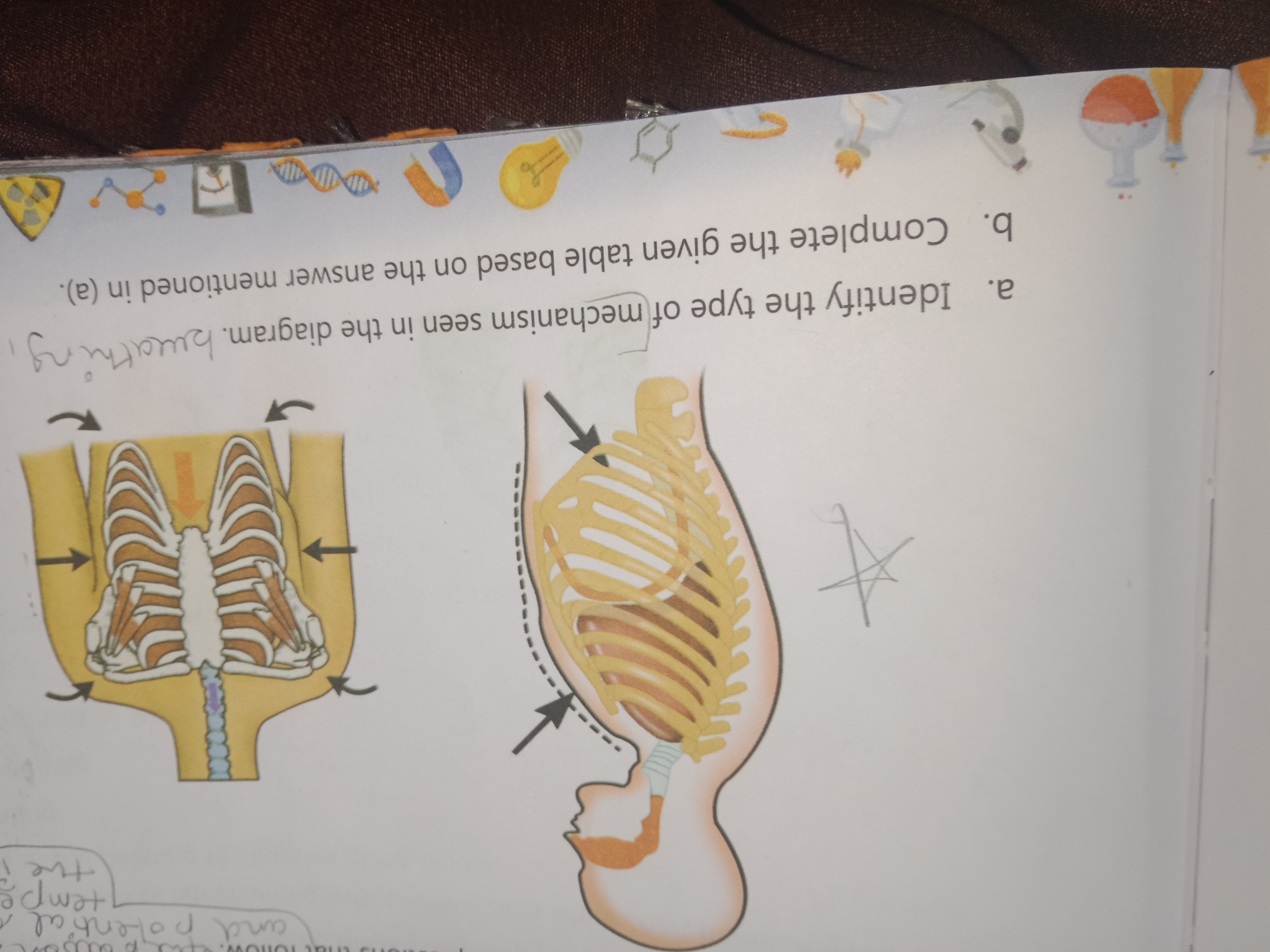 a. Identify the type of mechanism seen in the diagram.
b. Complete the