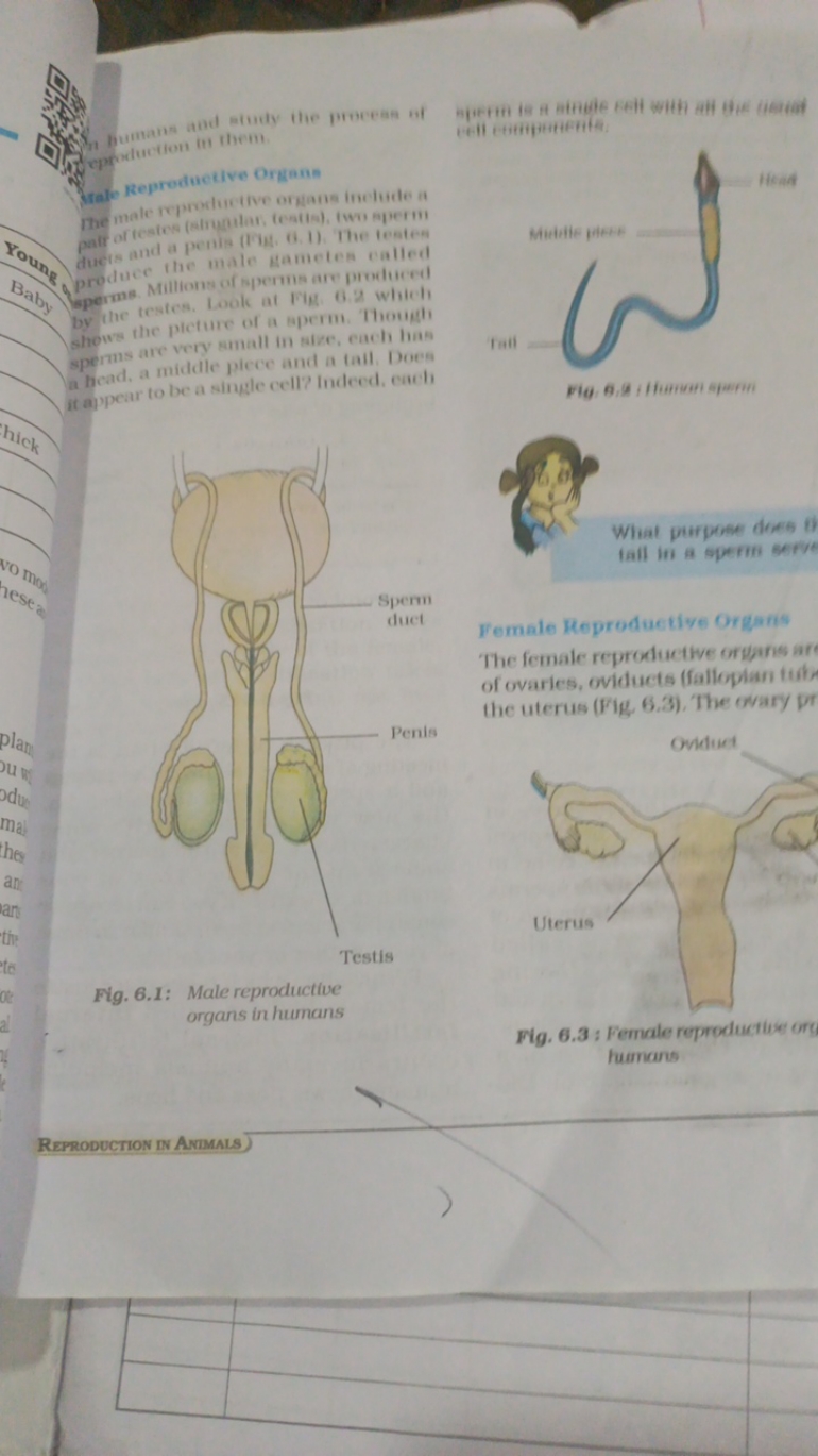 n bumans and etudy the process of Tratokeproduct
The mate rypmilow org