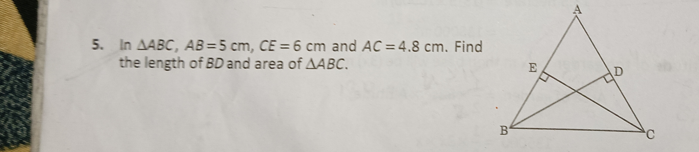 5. In △ABC,AB=5 cm,CE=6 cm and AC=4.8 cm. Find the length of BD and ar