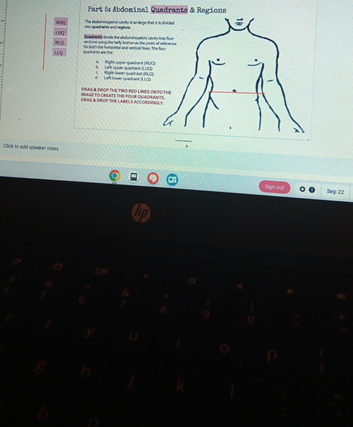 Part 5: Abdominal Quadrants \& Regions
The abdominopelvic cavity is so