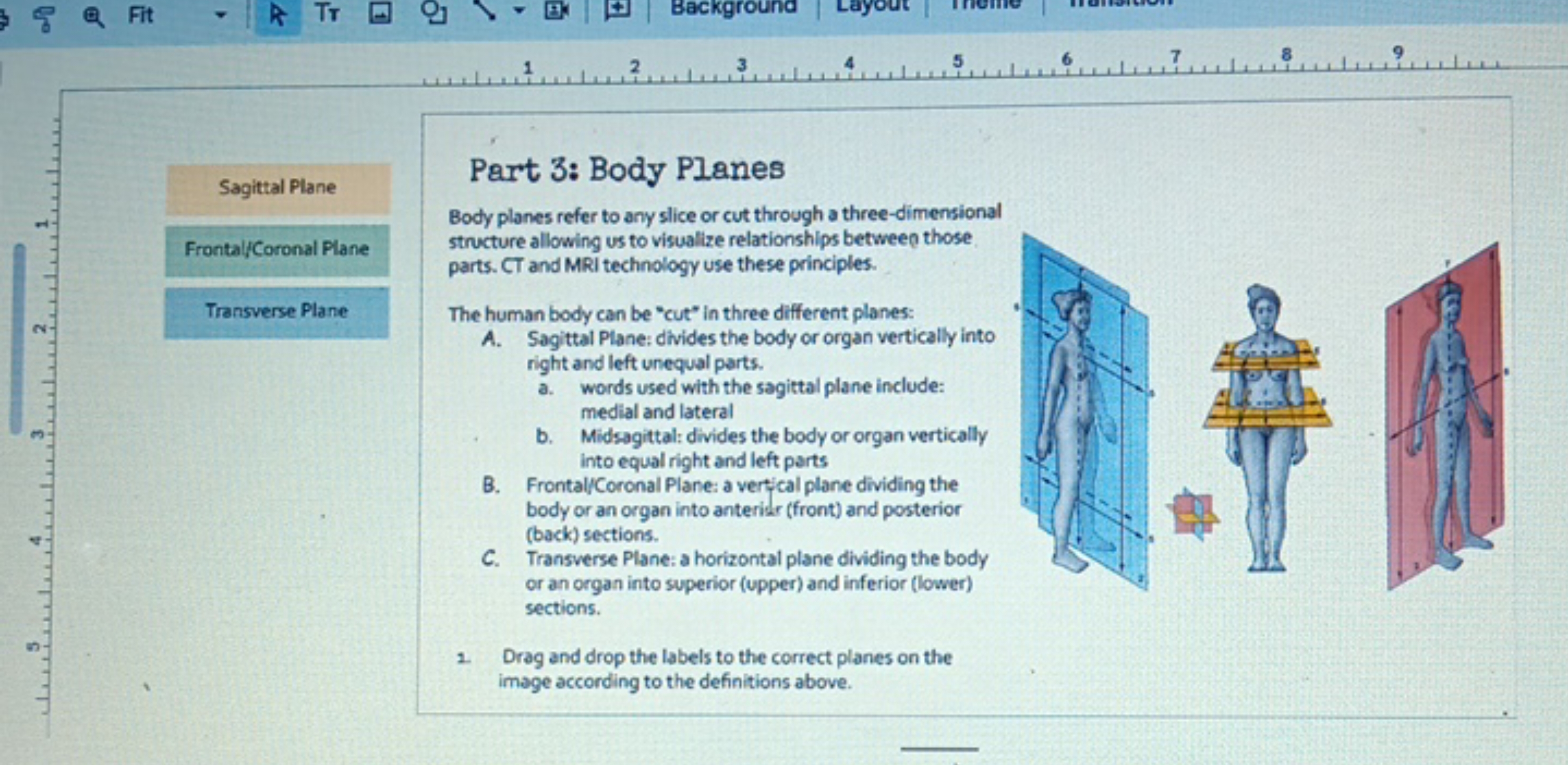 1.
2
3
4
5
6
8
9

Sagittal Plane

Frontal/Coronal Plane

Transverse Pl