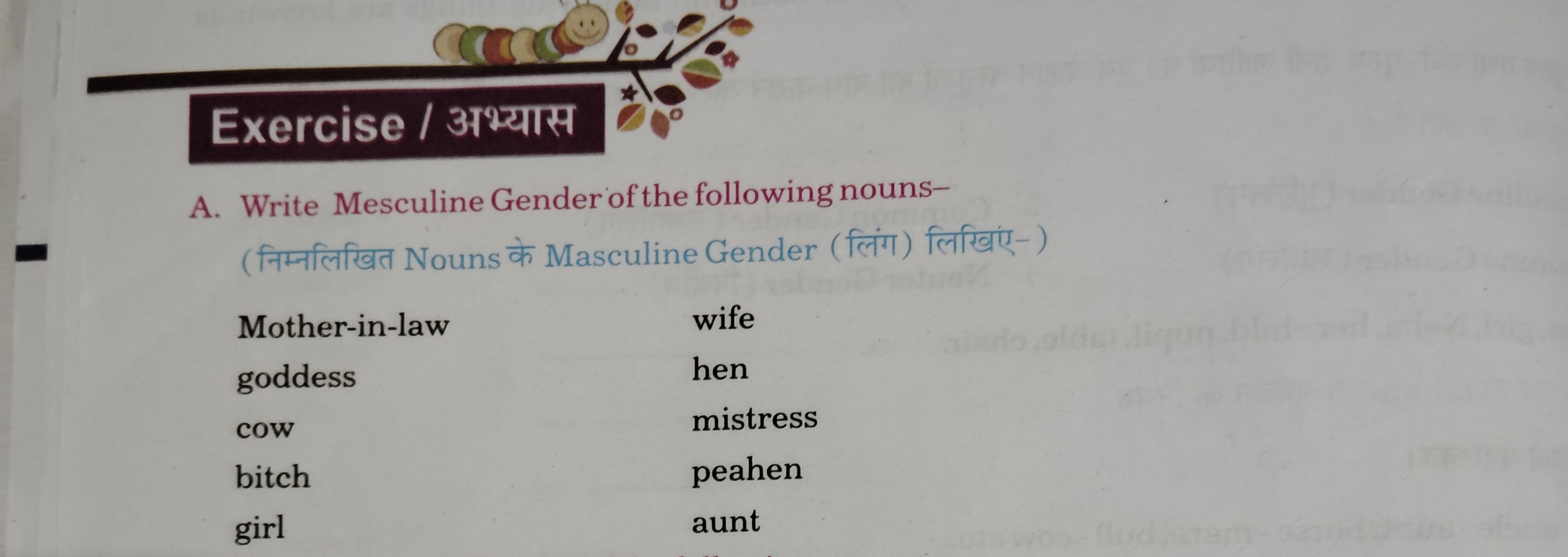 Exercise / अभ्यास
A. Write Mesculine Gender of the following nouns-
(न