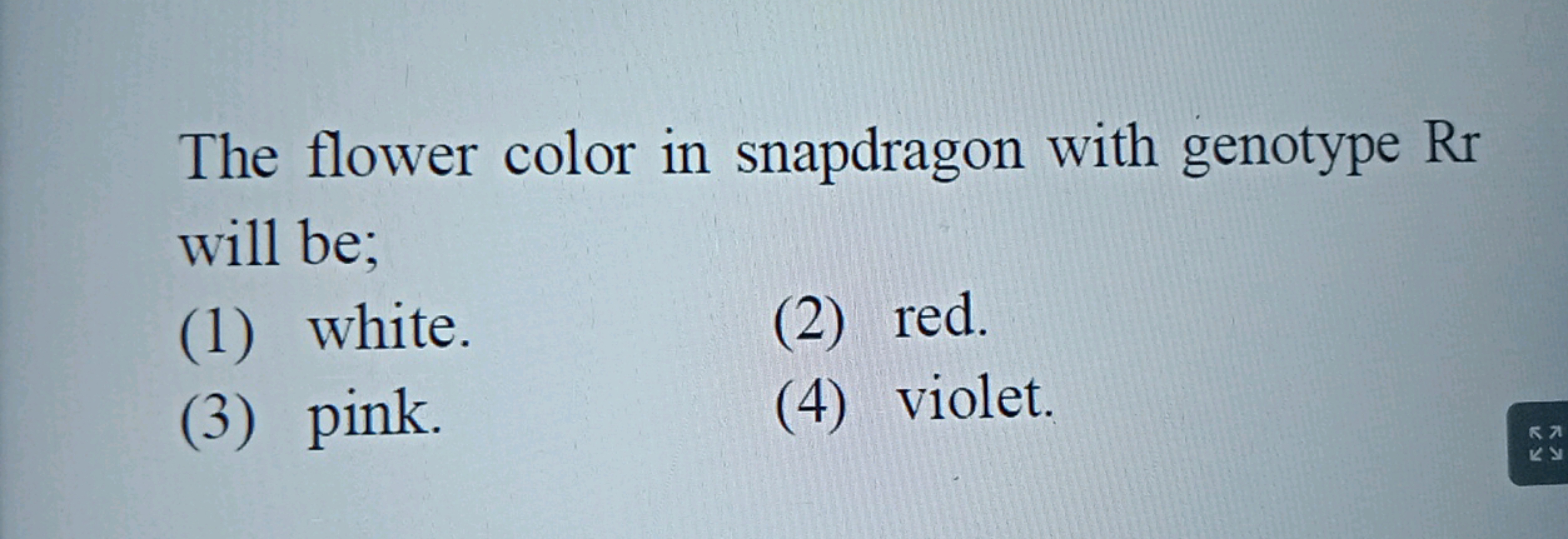 The flower color in snapdragon with genotype Rr will be;
(1) white.
(2