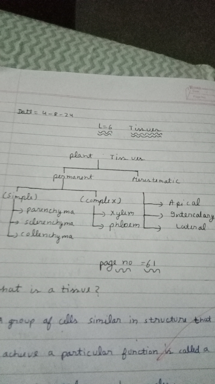  Date =4−8−24
Whine
bin
 Bans  bun n ​
 page no =61
hat is a tissue?

