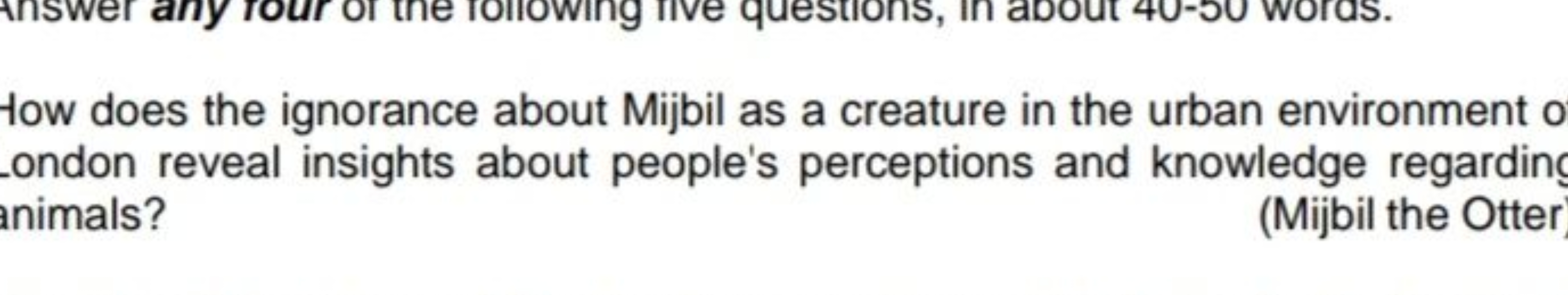 How does the ignorance about Mijbil as a creature in the urban environ