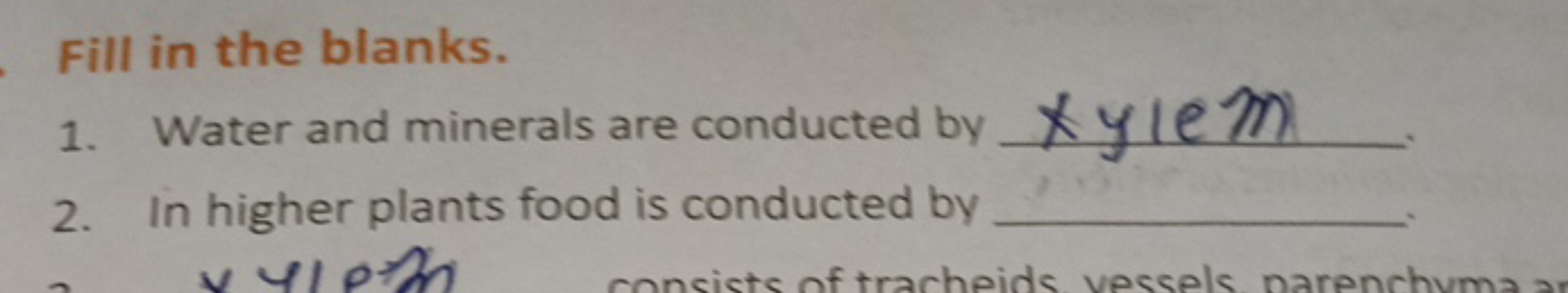 Fill in the blanks.
1. Water and minerals are conducted by  xy(em −
2.