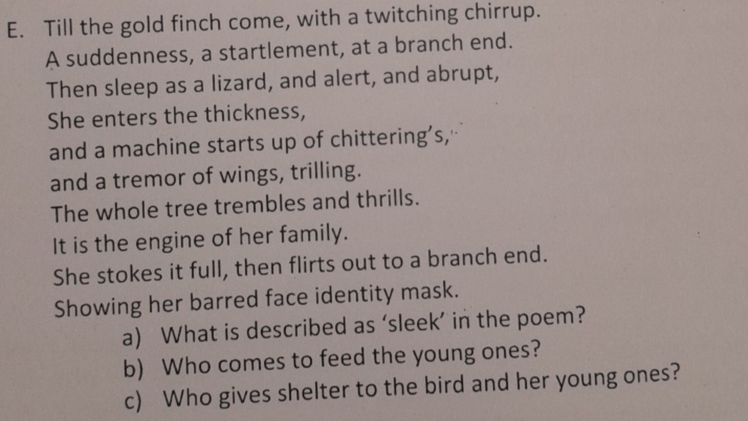 E. Till the gold finch come, with a twitching chirrup.

A suddenness, 