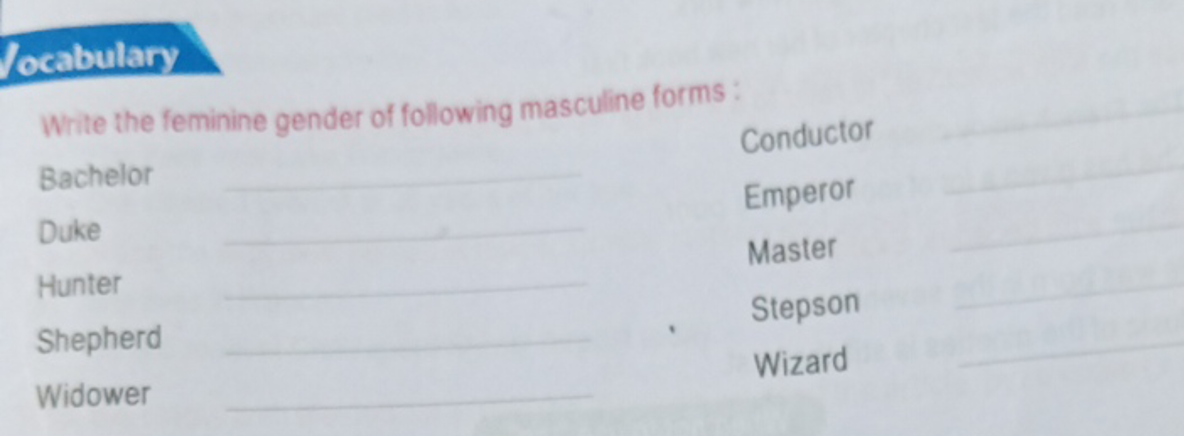 Jocabulary
Write the feminine gender of following masculine forms:
Bac