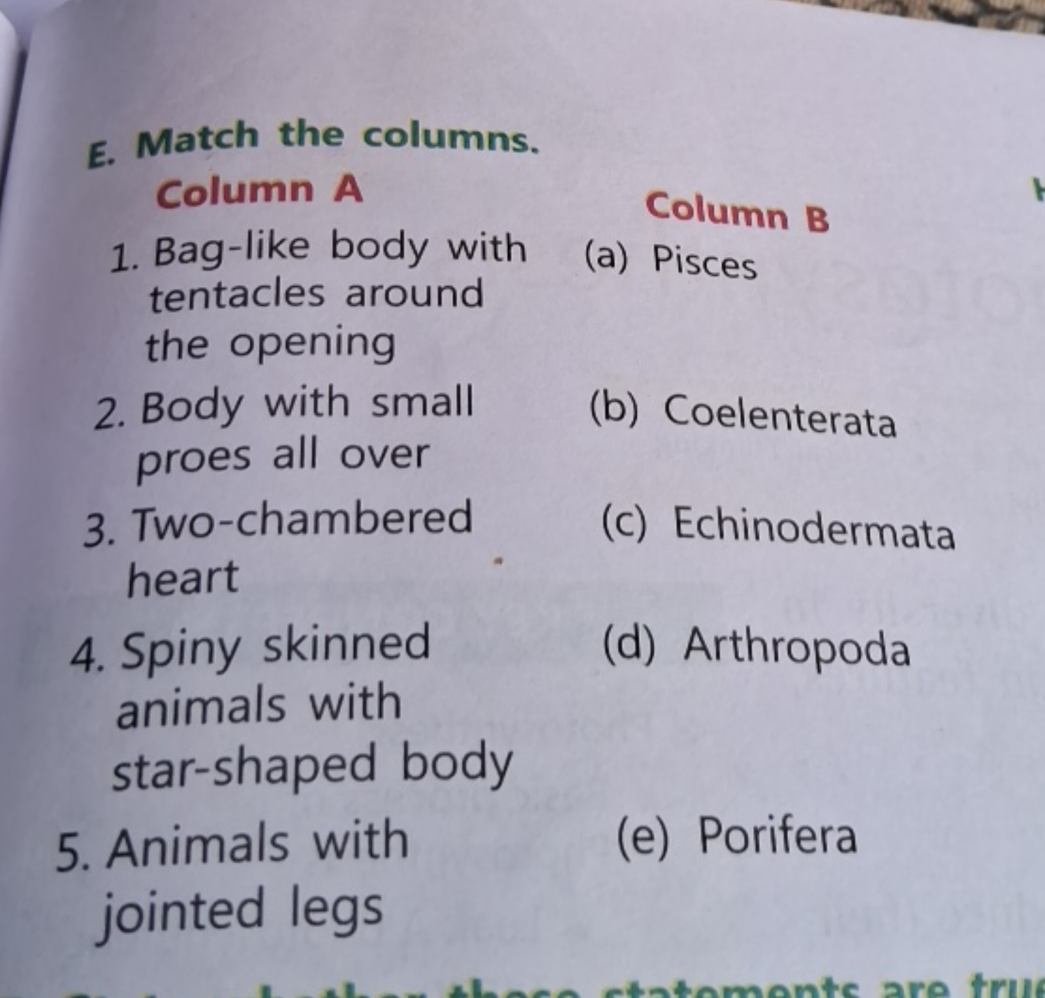 E. Match the columns.

Column A
Column B
1. Bag-like body with
(a) Pis