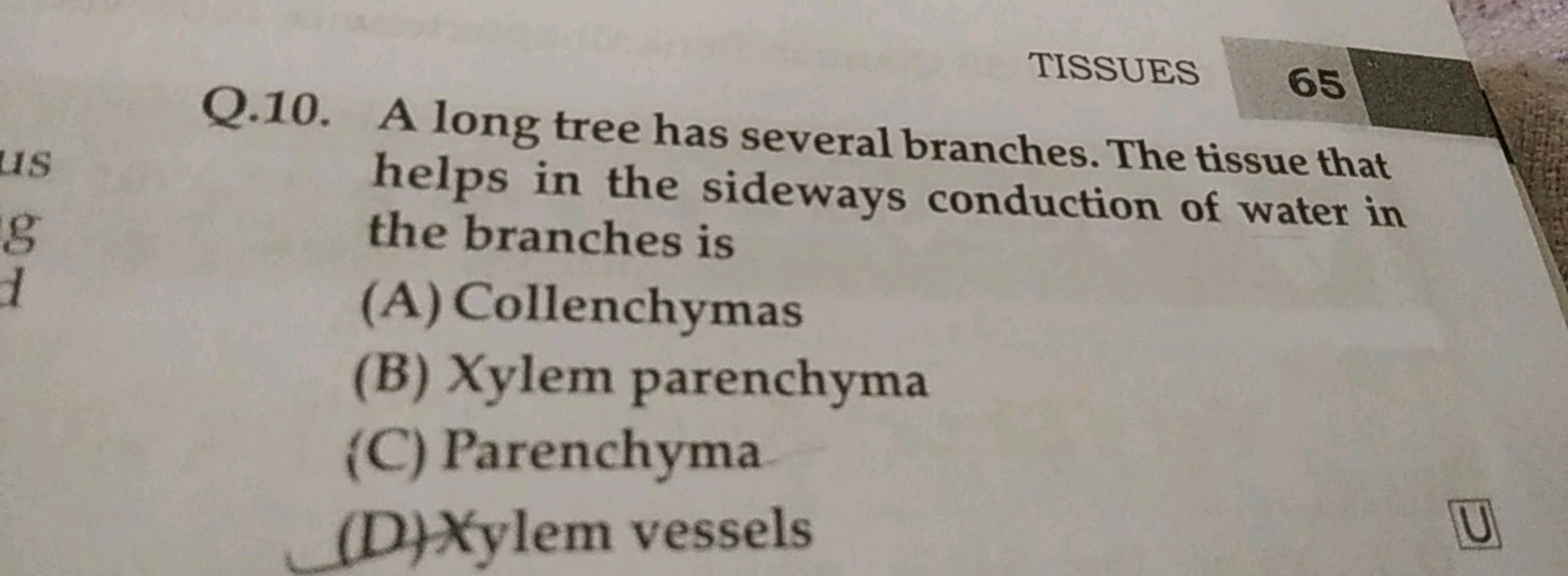 TISSUES
65
Q.10. A long tree has several branches. The tissue that hel