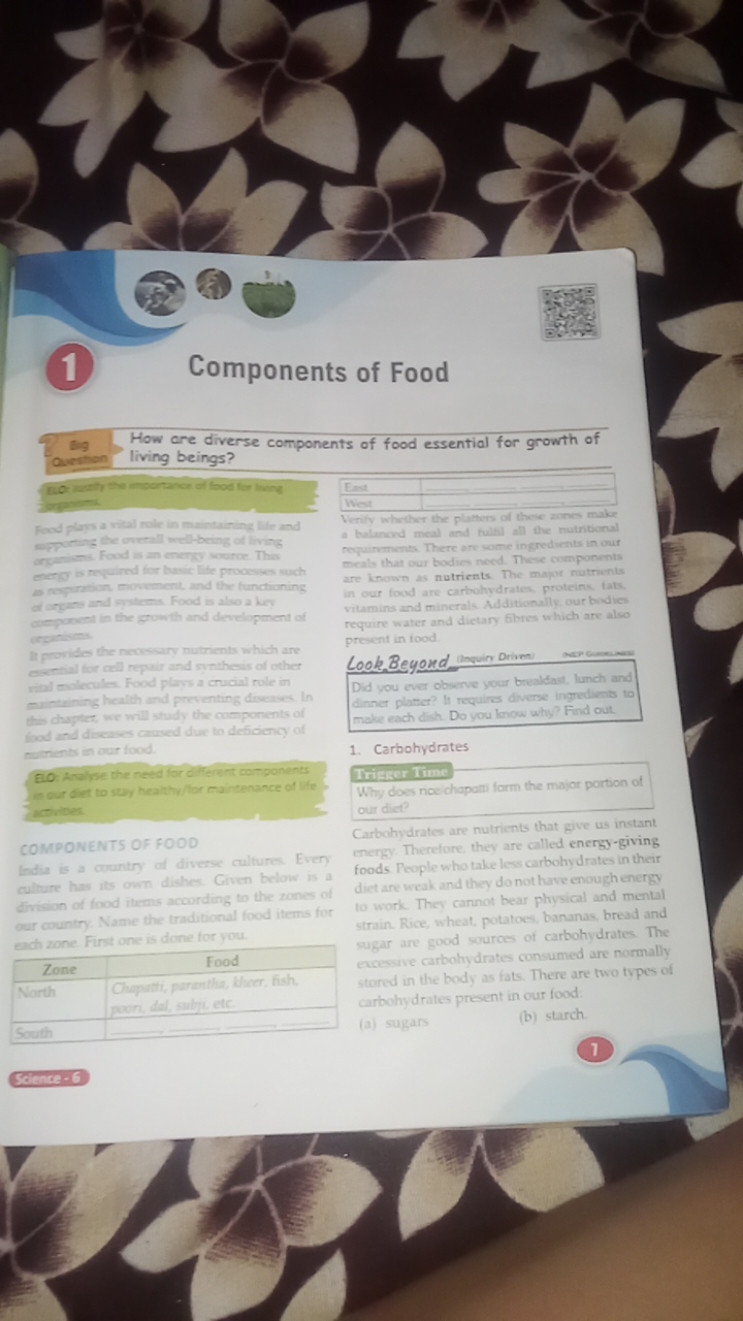 1 Components of Food

Big How are diverse components of food essential