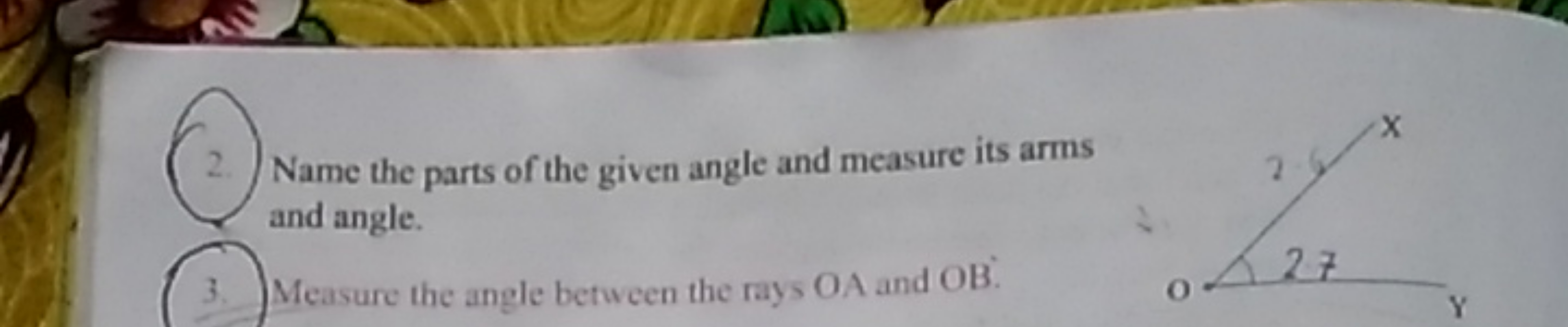 2. Name the parts of the given angle and measure its arms and angle.
3