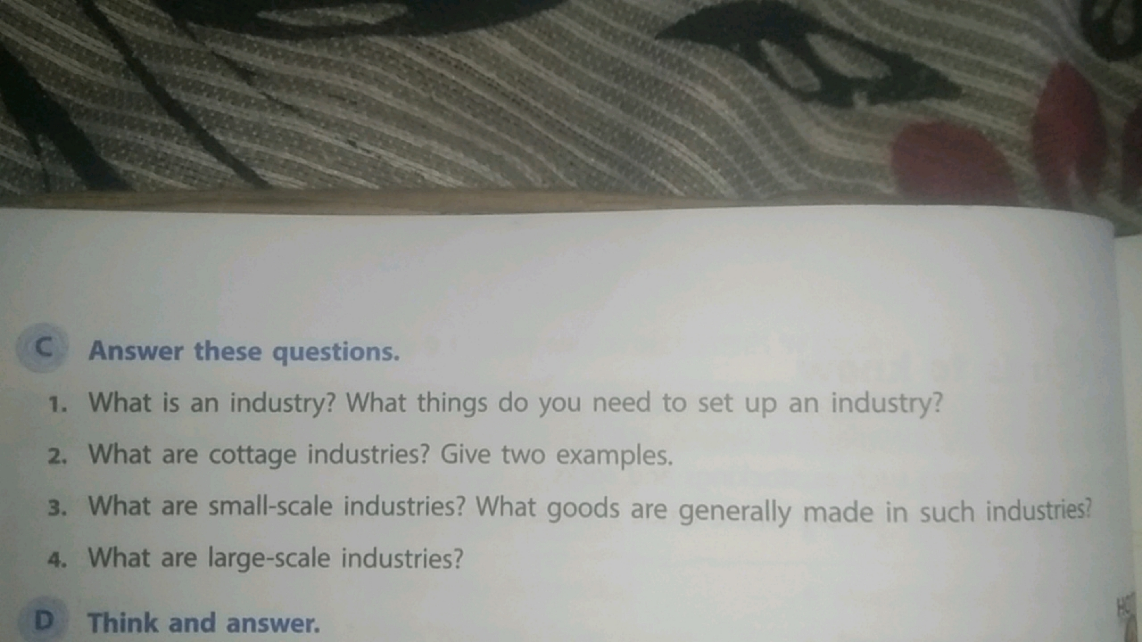 C Answer these questions.
1. What is an industry? What things do you n