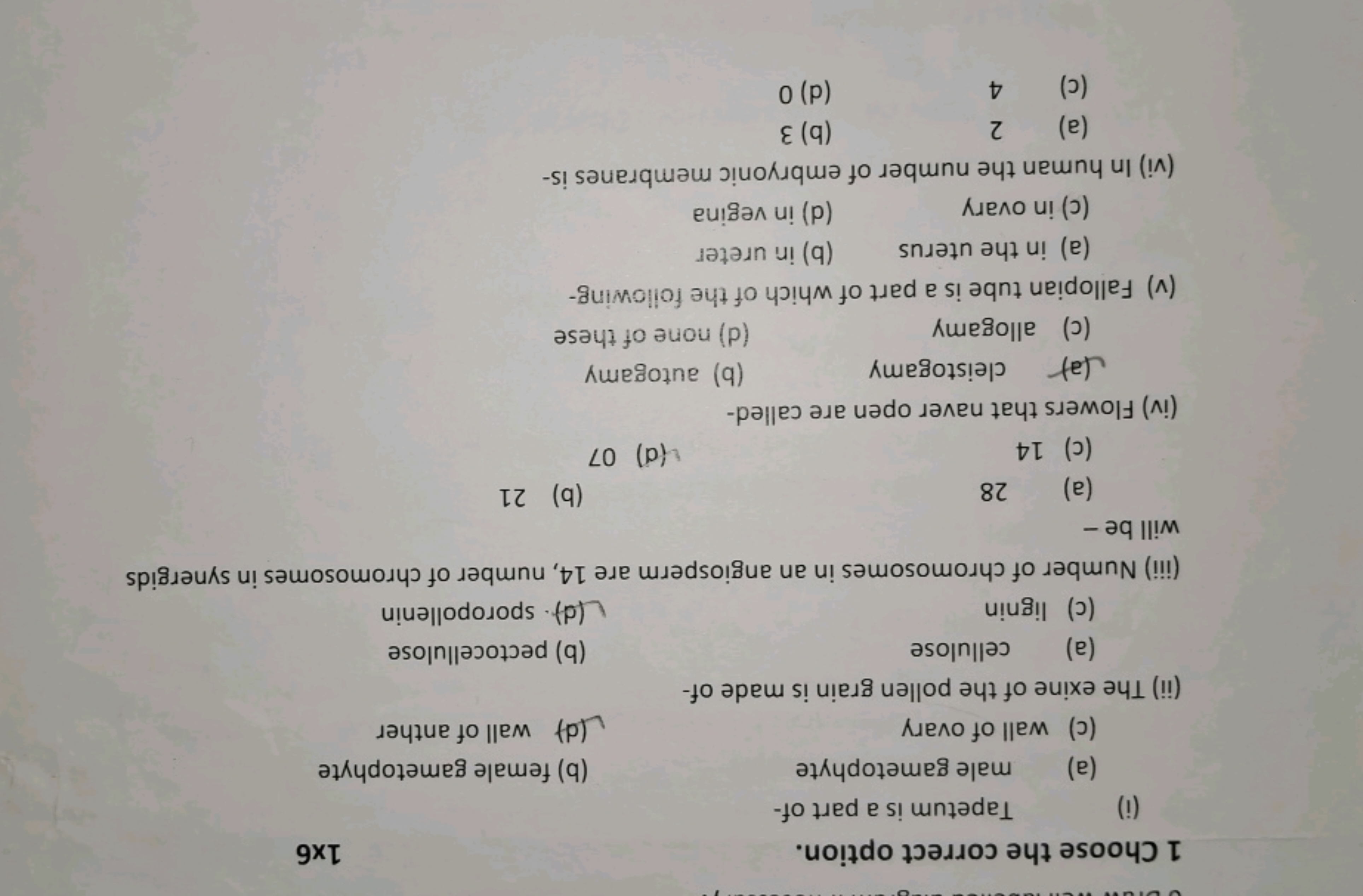 1 Choose the correct option.
1×6
(i) Tapetum is a part of-
(a) male ga