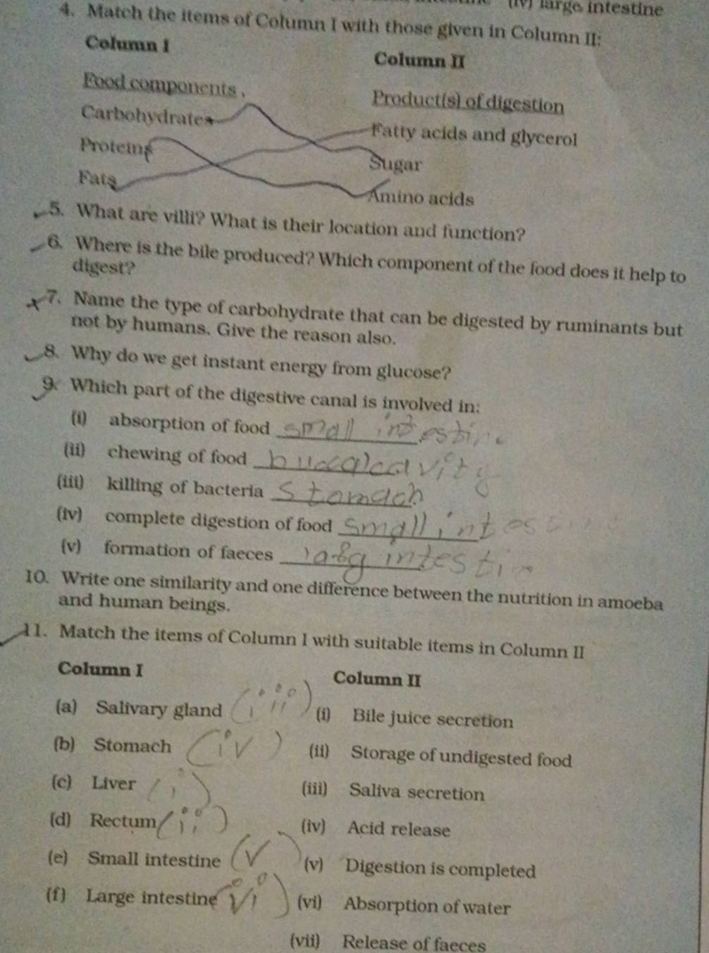 4. Match the items of Column I with those given in Column II:
5. What 