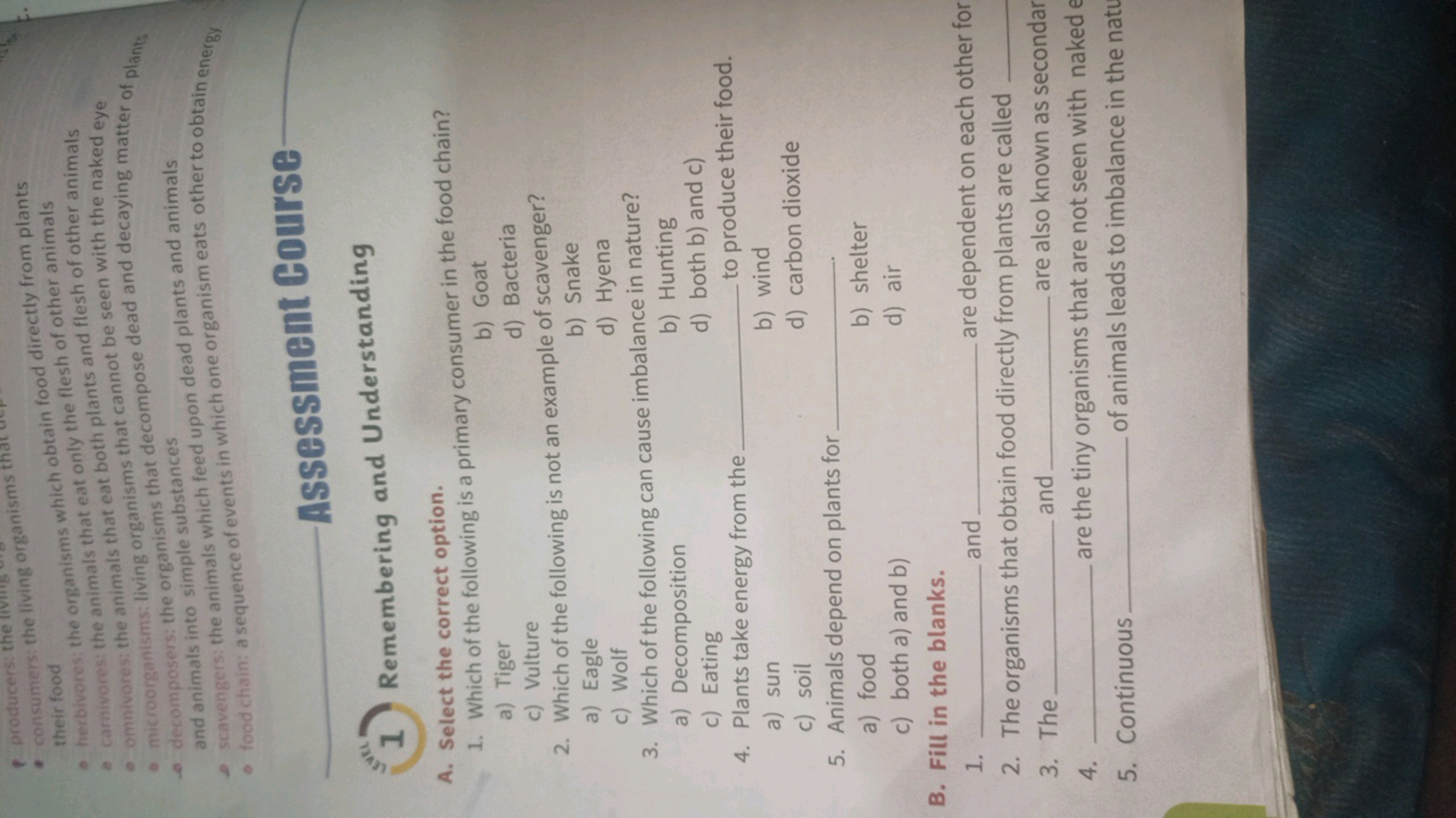 - producers: the their food
D. herbivores; the organisms which obtain 