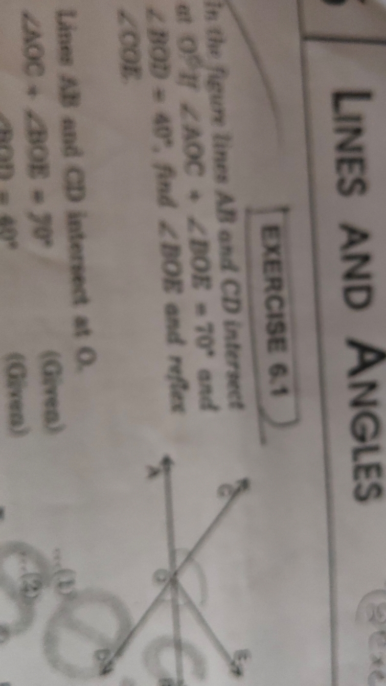 LINES AND ANGles
EXERCISE 6.1
In the fleum lines AB and CD intersect a