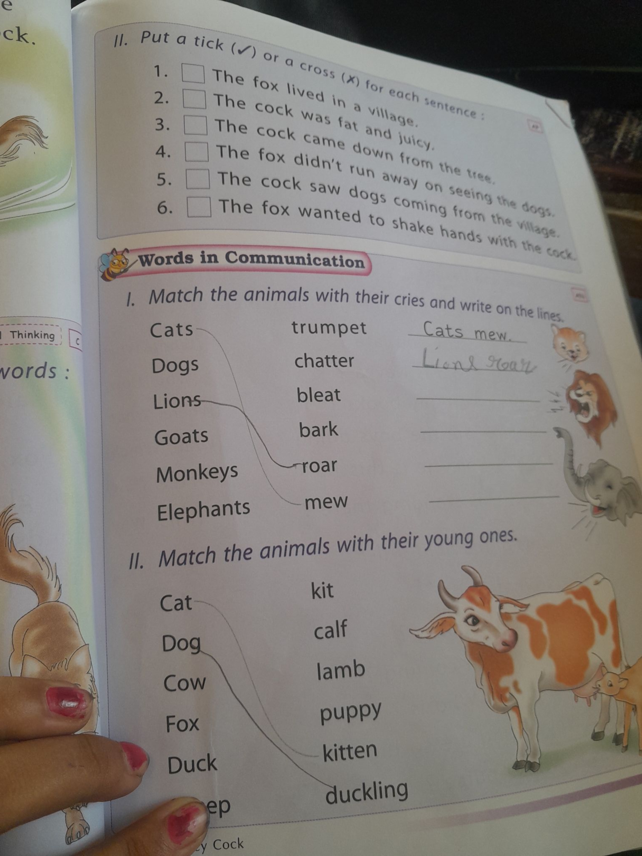 11. Put a tick ( Ω ) or a cross (x) for each sentence:
1. □ The fox li