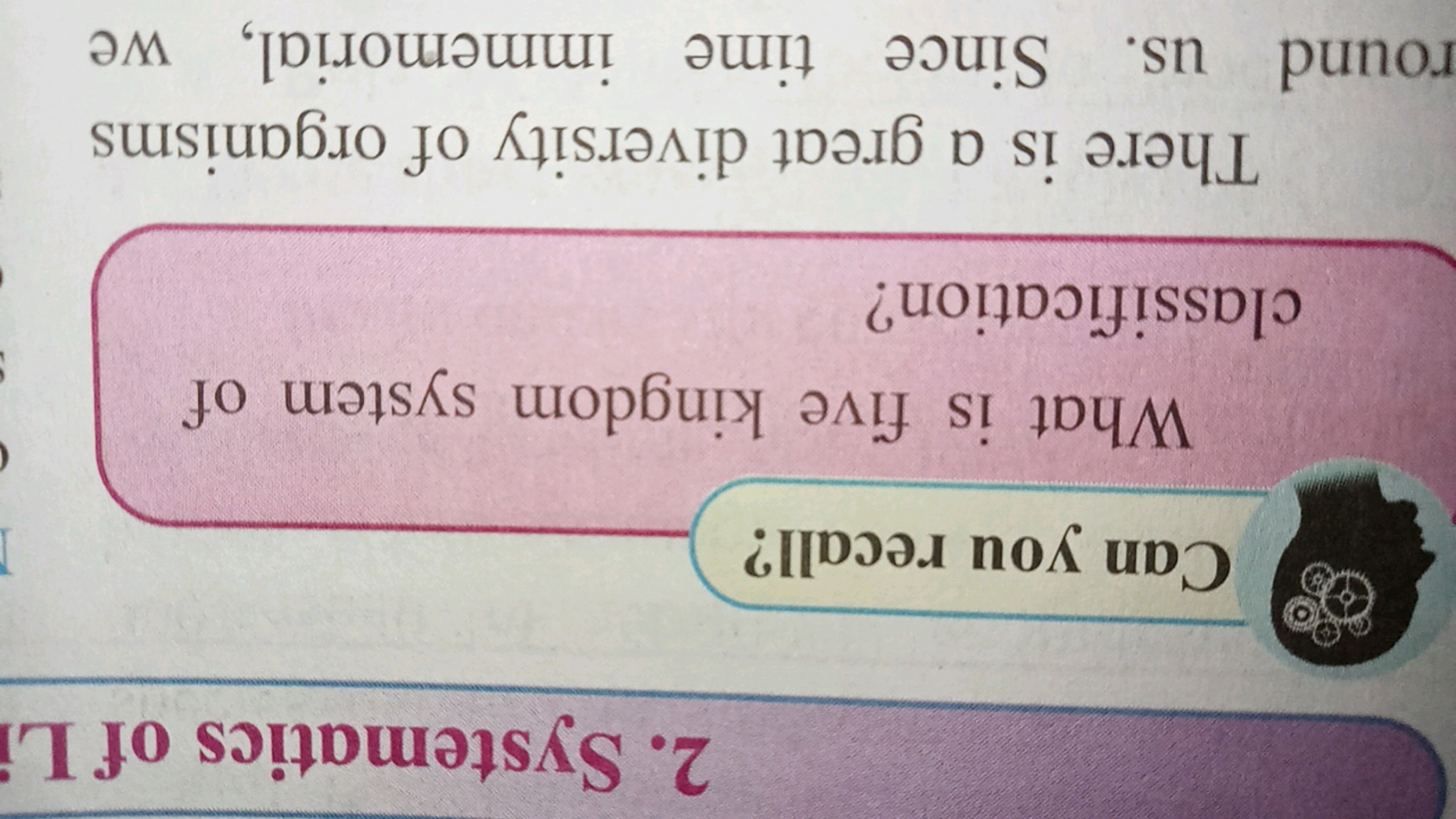 Can you recall?
2. Systematics of Li
What is five kingdom system of
cl