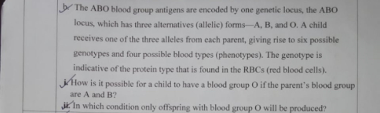 b. The ABO blood group antigens are encoded by one genetic locus, the 