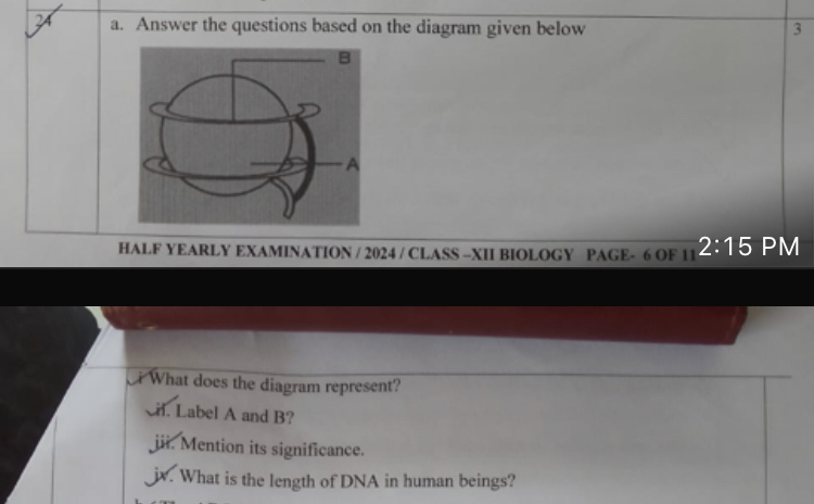 24
a. Answer the questions based on the diagram given below
3

HALF YE