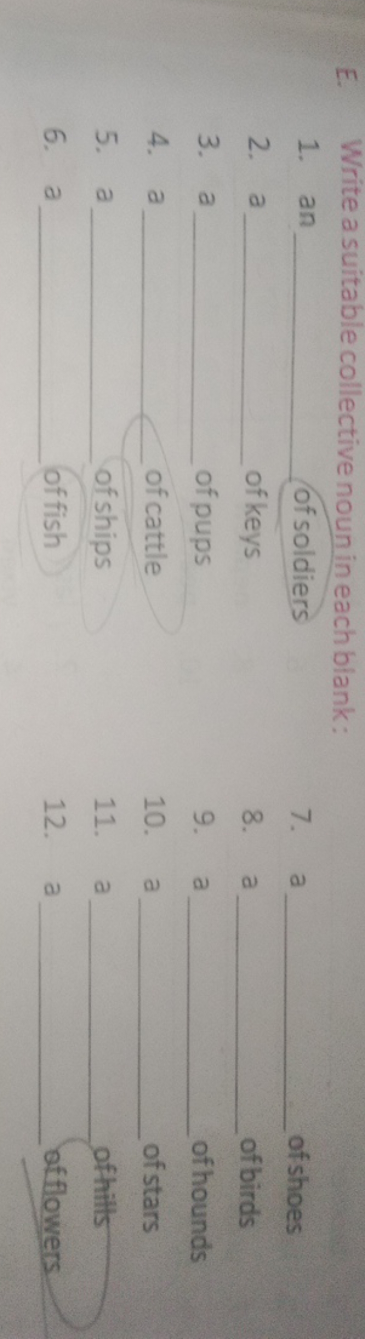 E. Write a suitable collective noun in each blank:
1. an  of soldiers
