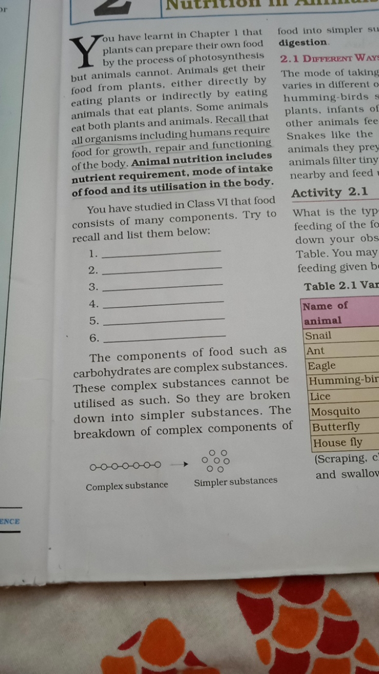 □
- 0 ou have learnt in Chapter 1 that plants can prepare their own fo