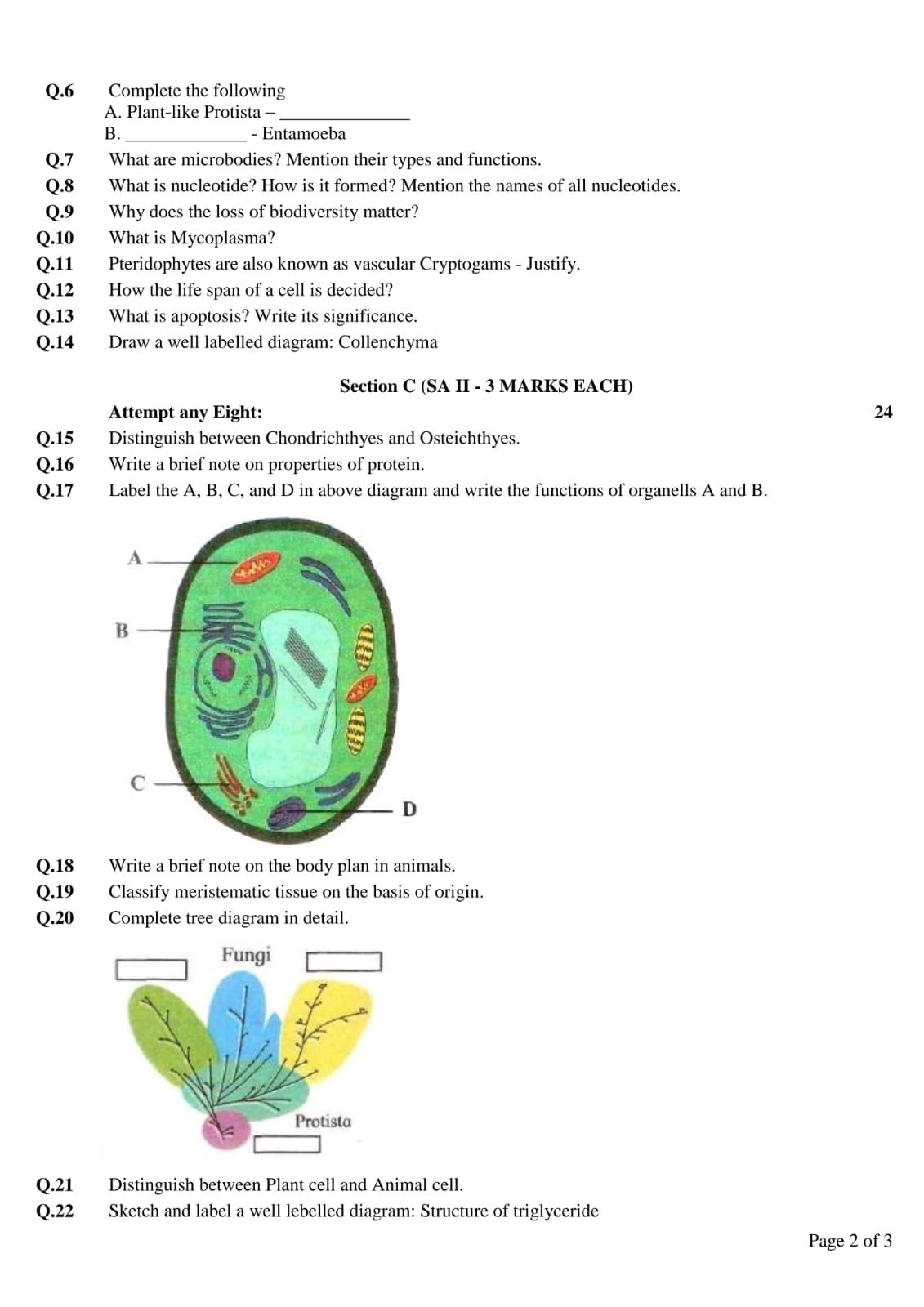 Q. 6 Complete the following
A. Plant-like Protista -
B.  - Entamoeba
Q