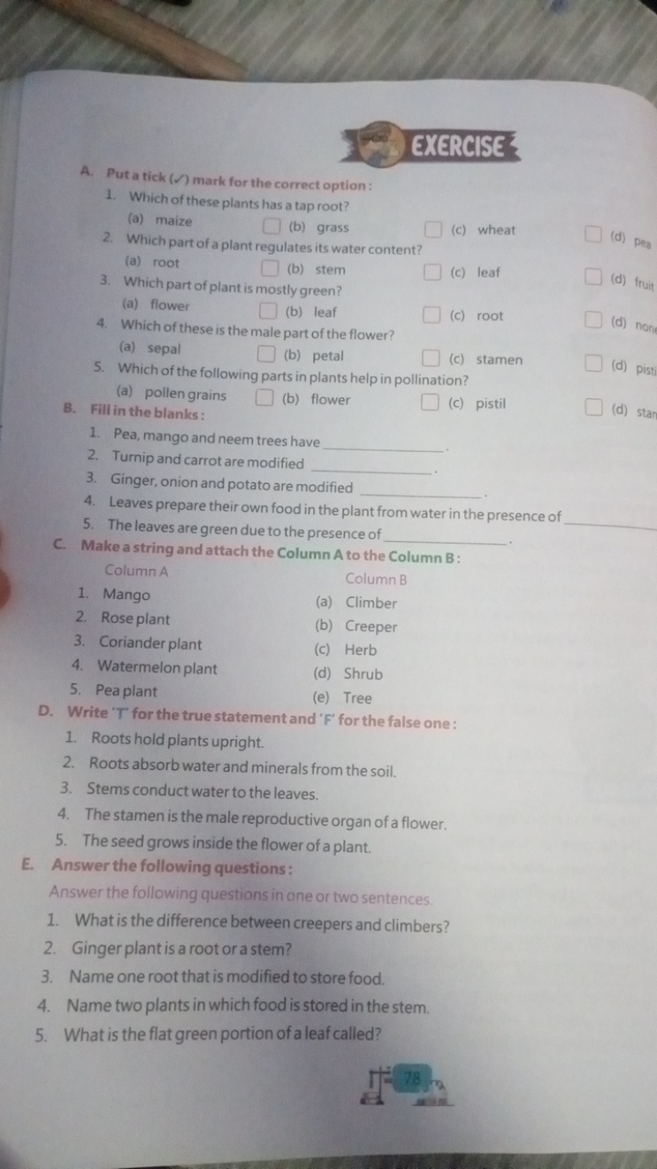 A. Put a tick ( ∼ ) mark for the correct option :
EXERCISE
1. Which of