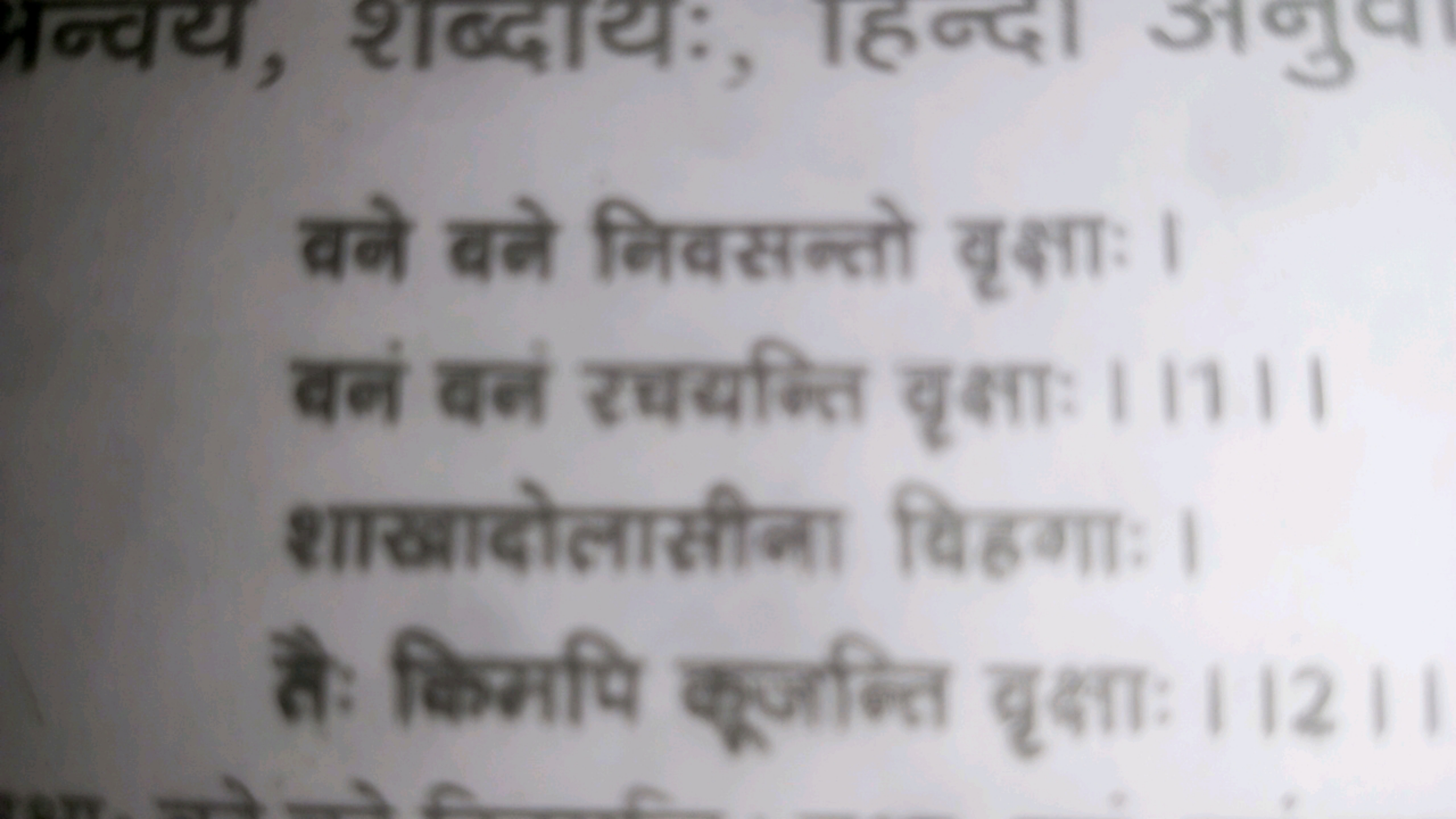 वके बके निवसन्तो वृक्षाः।
बलं बरं रचयक्ति यृक्षाः 111।।
शाखादोलासीना व