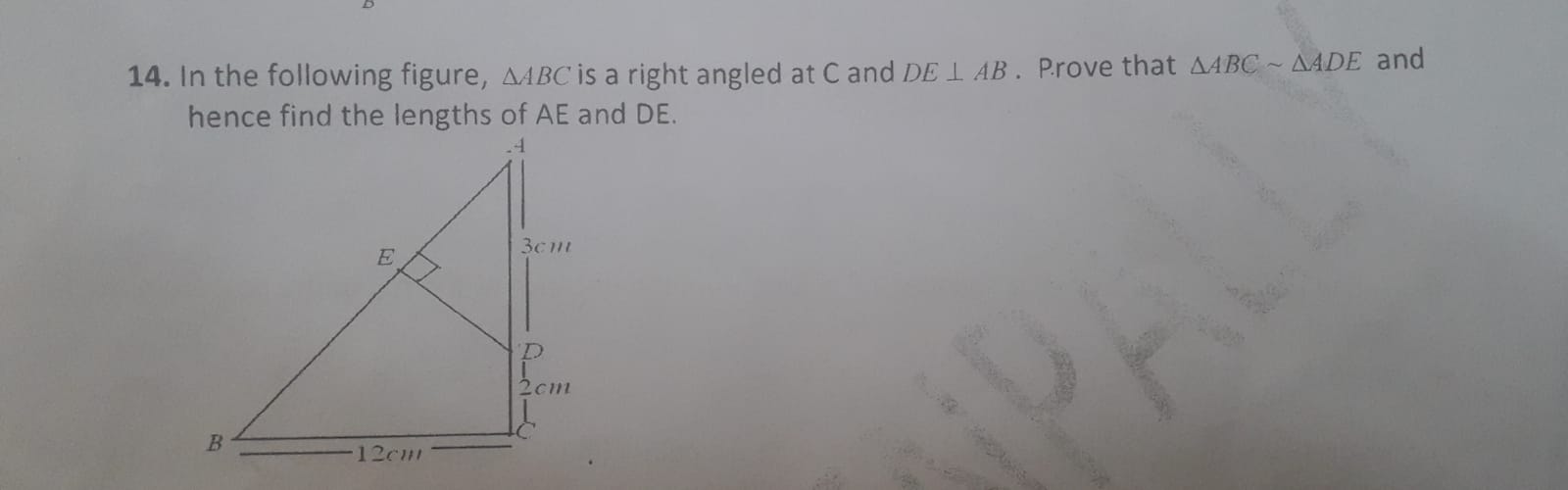 14. In the following figure, △ABC is a right angled at C and DE⊥AB. P.