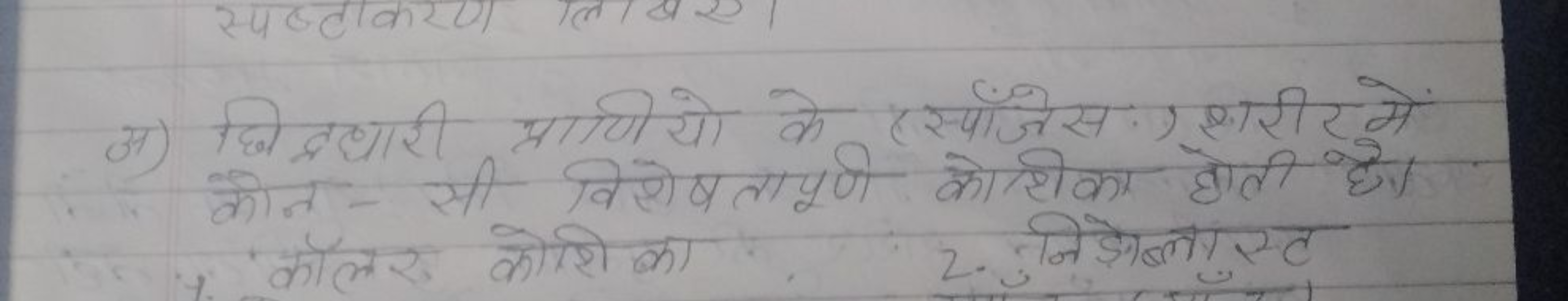 अ) छिद्धधारी प्राणीयो के (स्पाँजेसः) शरीर में कौन-सी विएेषतापूण कोशिका