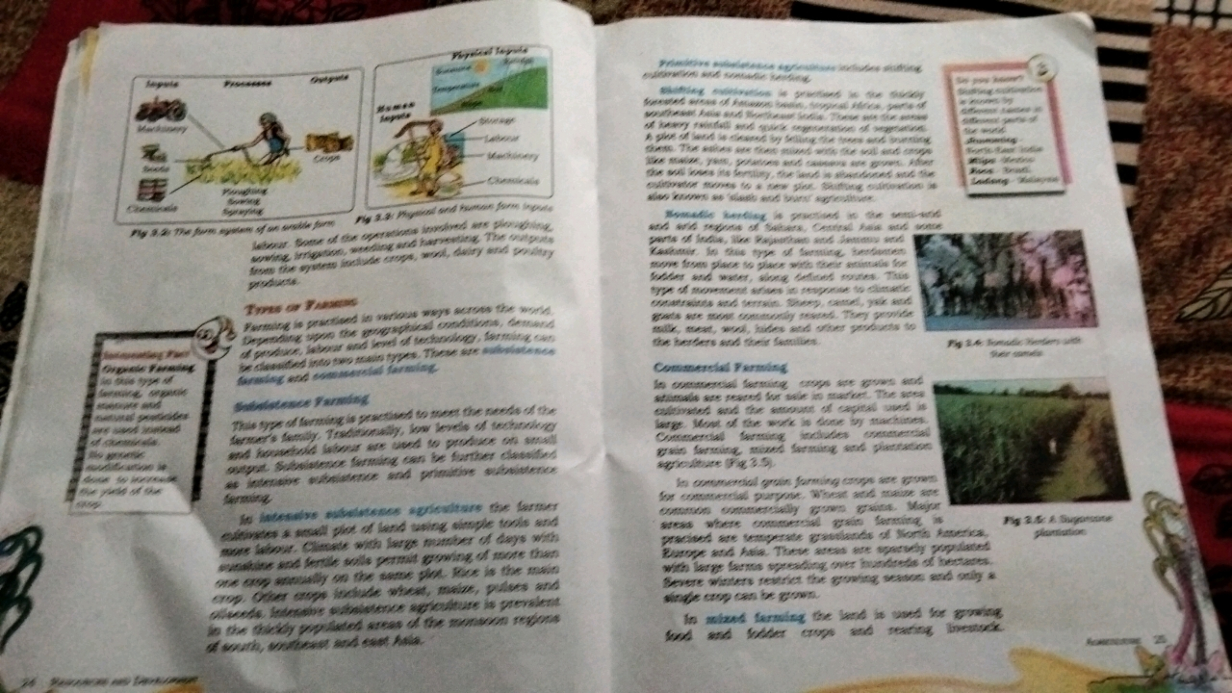 Inguis
Ha
Machinery
Chemicals
Pg 3 The farm system of an ssle for F33 